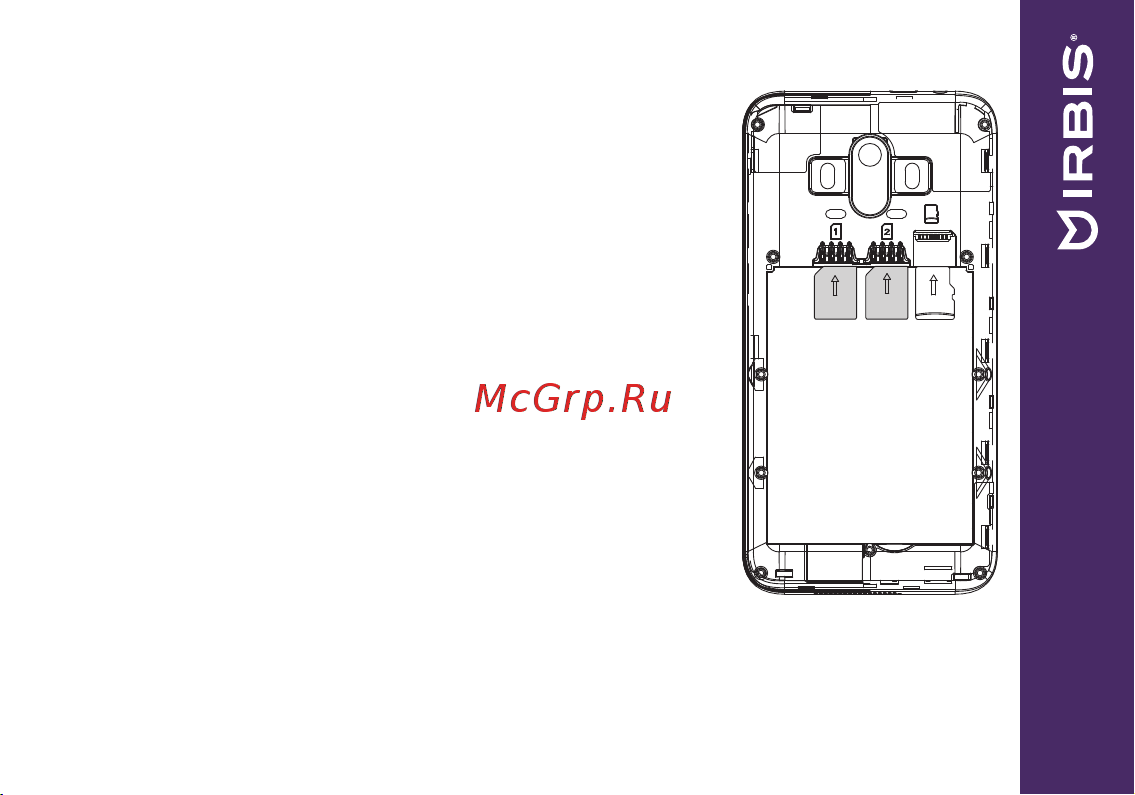 Irbis SP511 [9/24] Аксессуары и аккумулятор