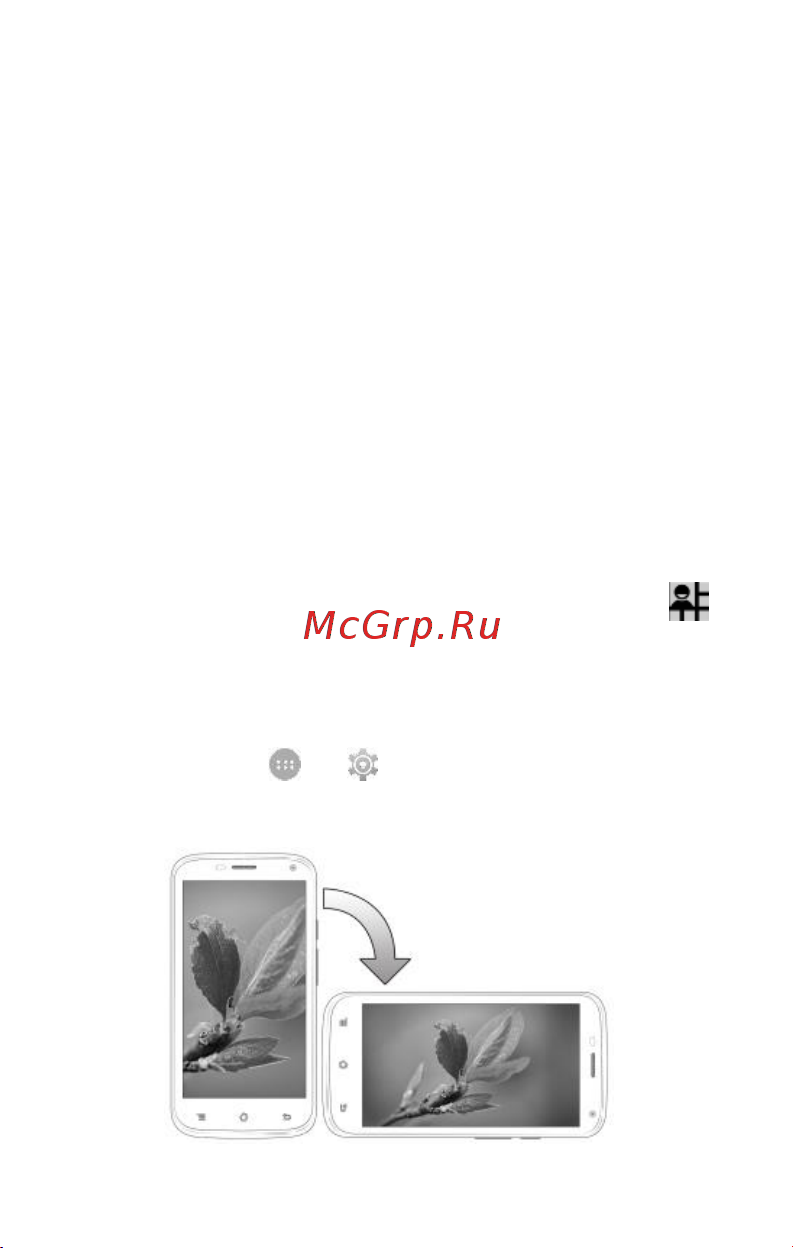 Micromax A82 Bolt [24/50] Гравитационный датчик