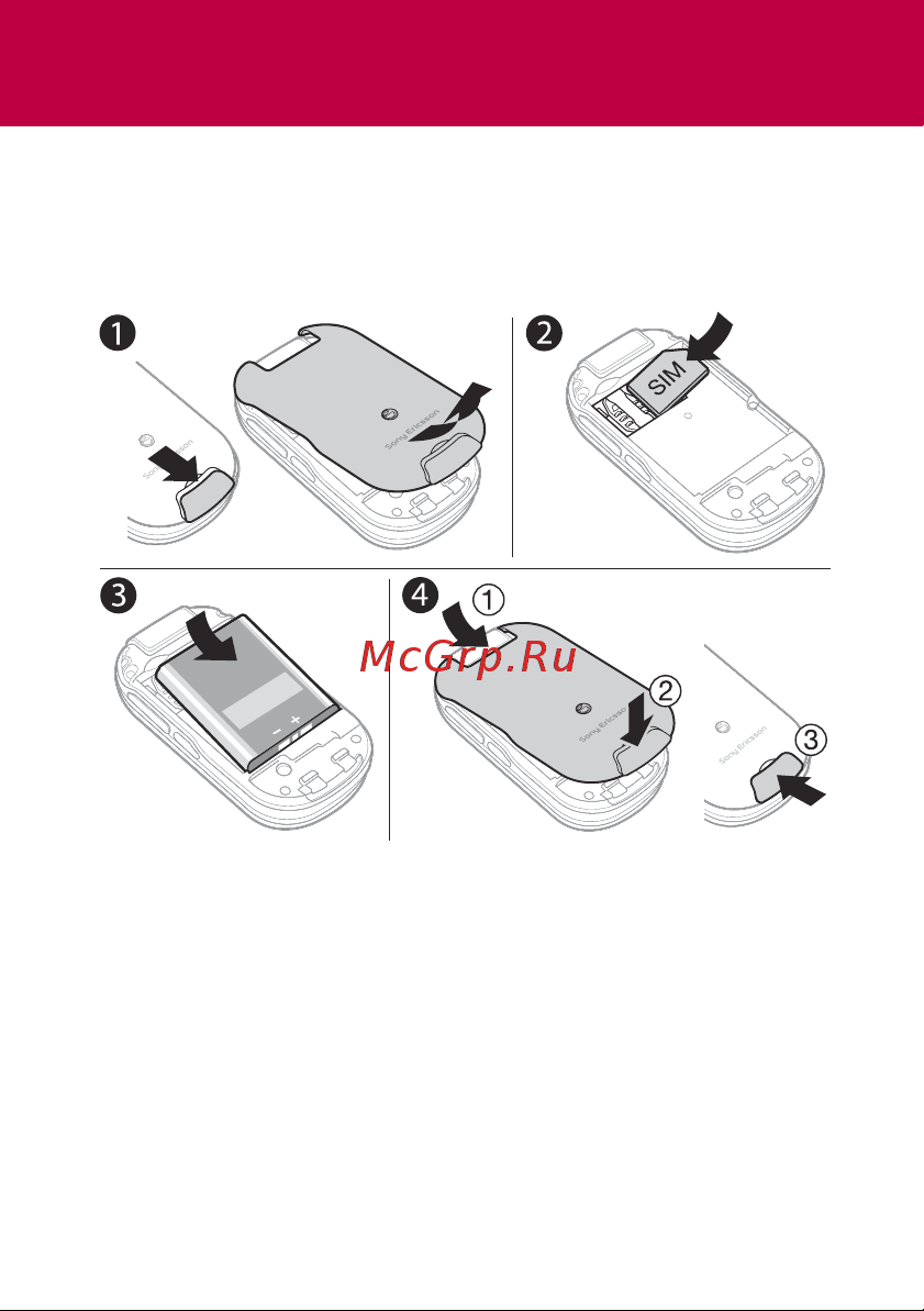 SONY-ERICSSON Z320 [3/42] Подготовка телефона