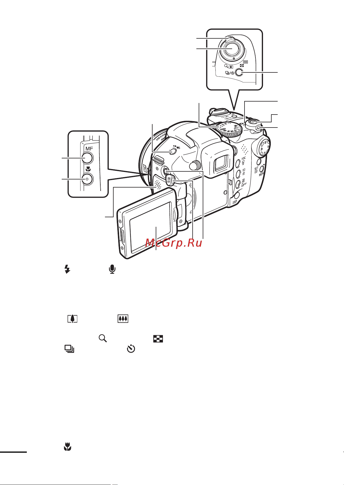 Canon PowerShot S3 IS [16/172] Вид сзади