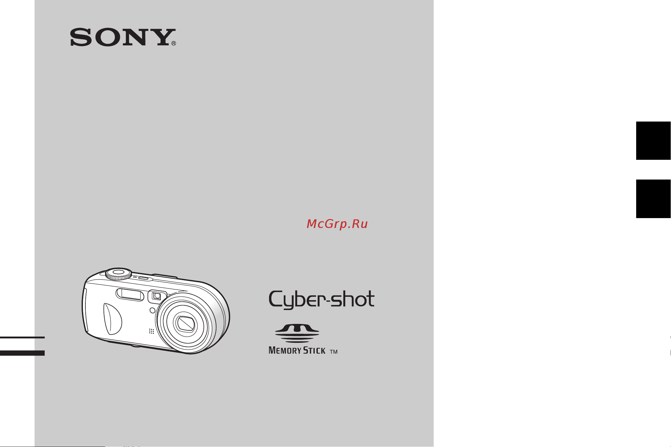 Sony DSC-P93A Руководство по эксплуатации онлайн