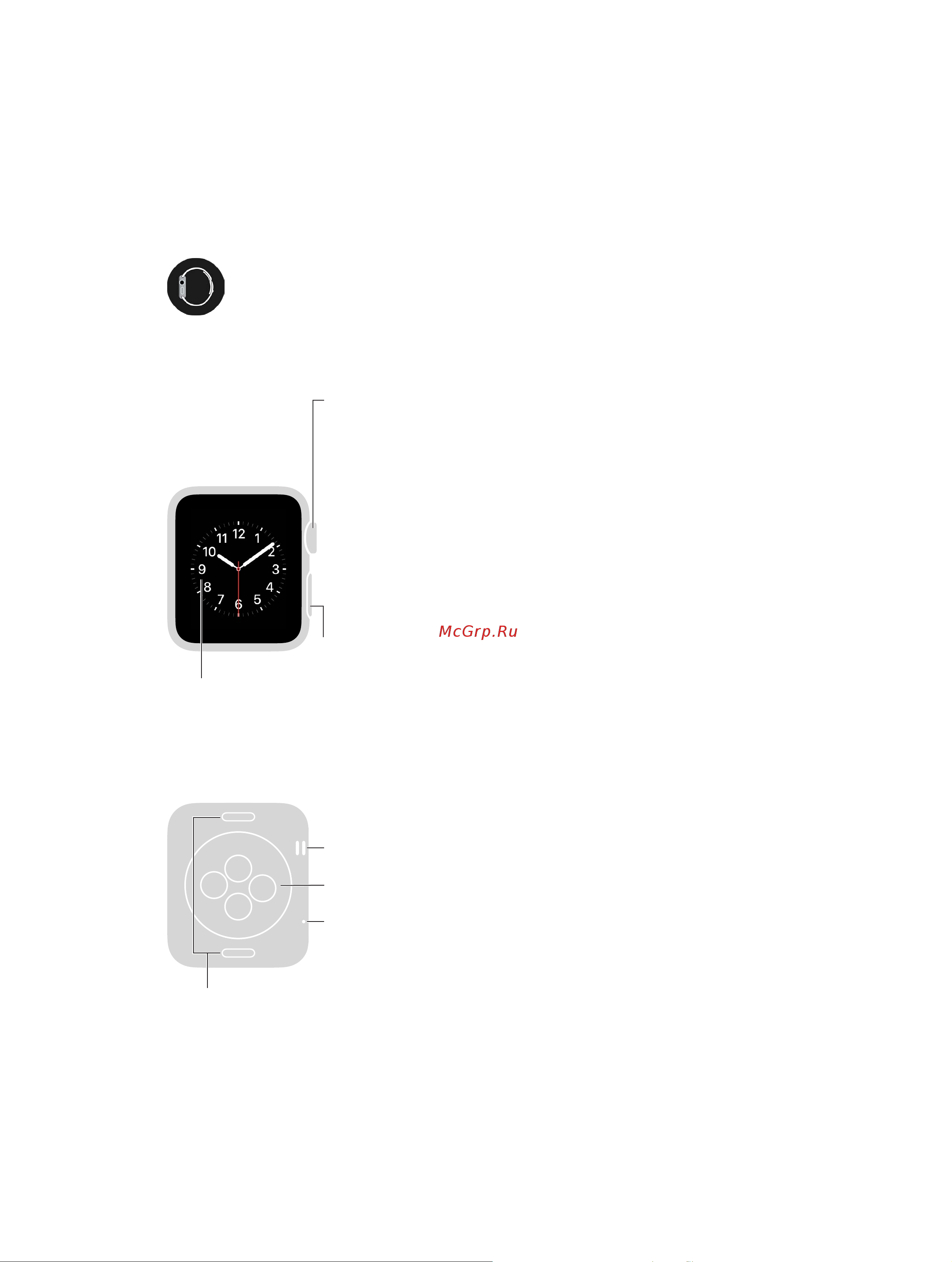 Apple Watch [5/105] Краткий обзор apple watch