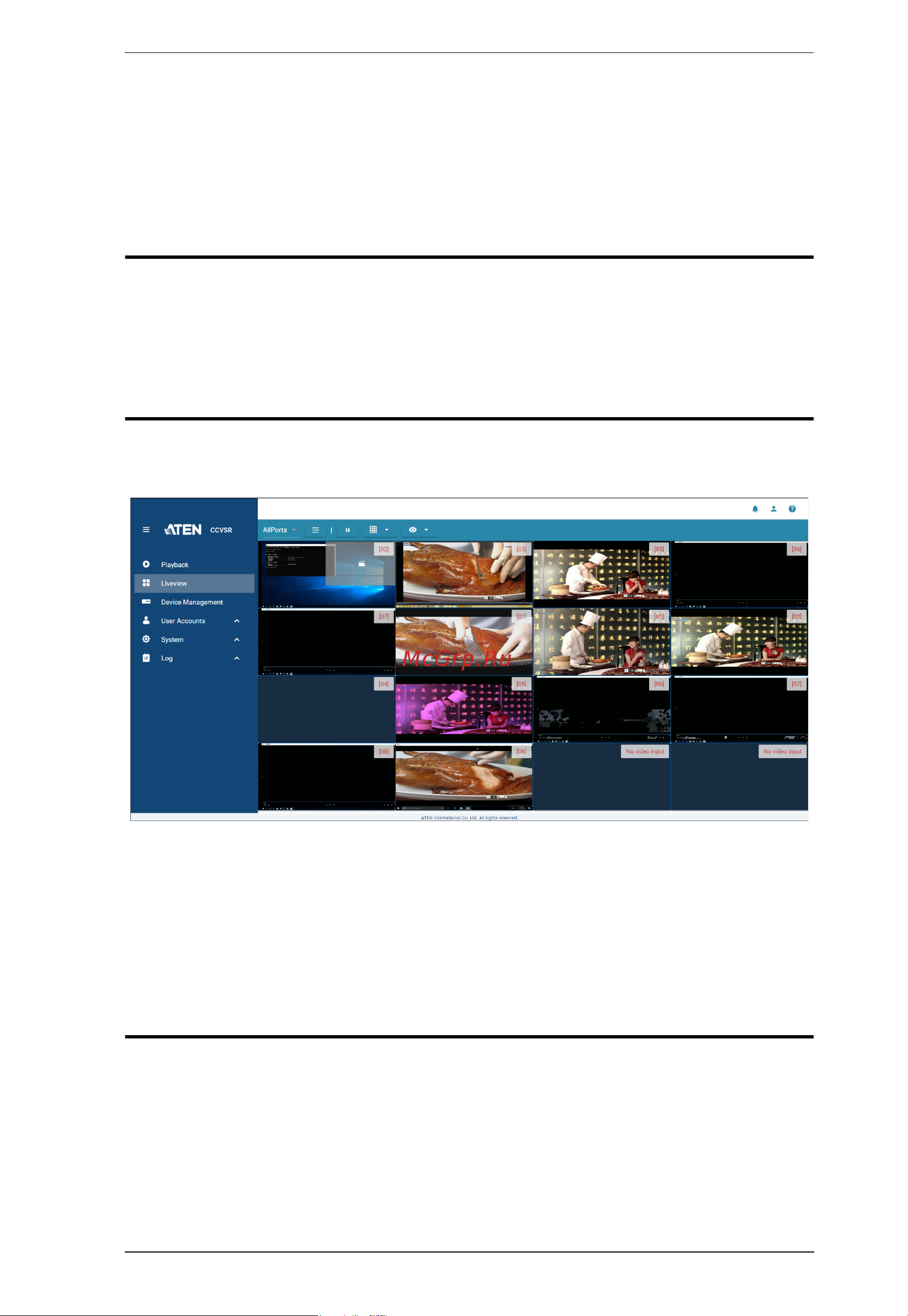 Aten CCVSR [41/131] Liveview
