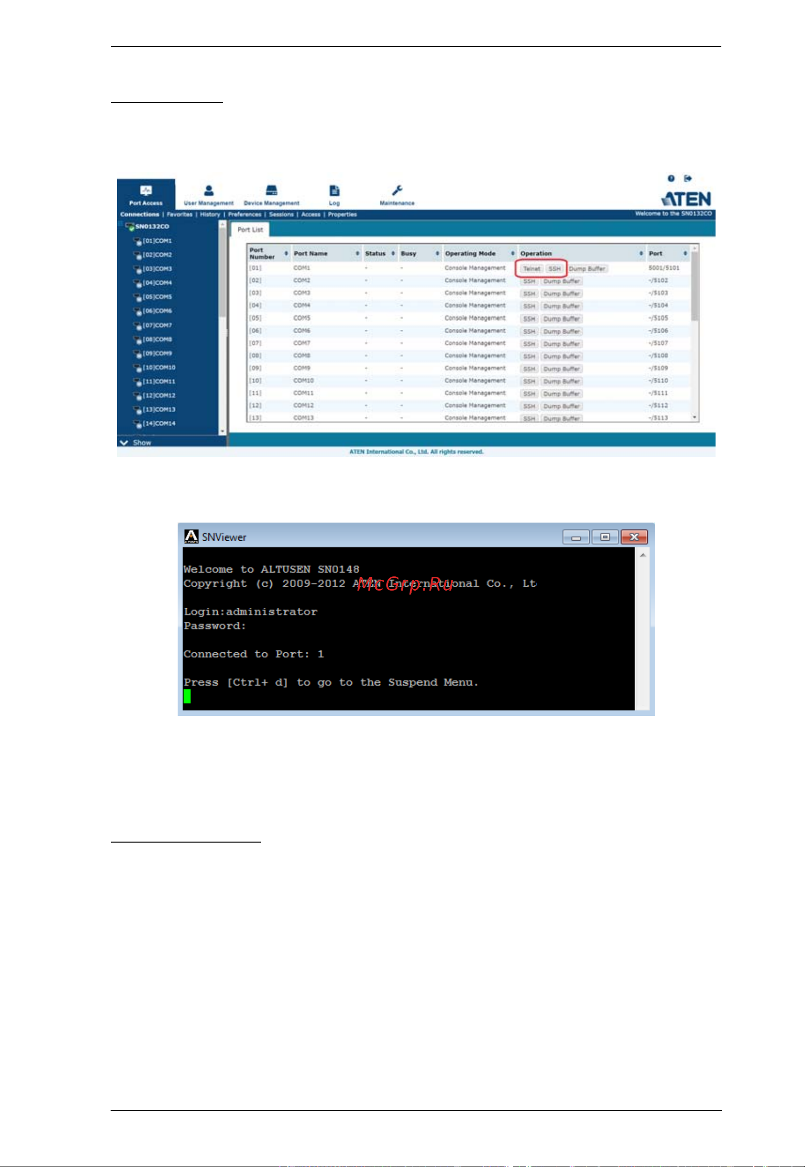 Aten SN0116CO [81/203] Telnet ssh