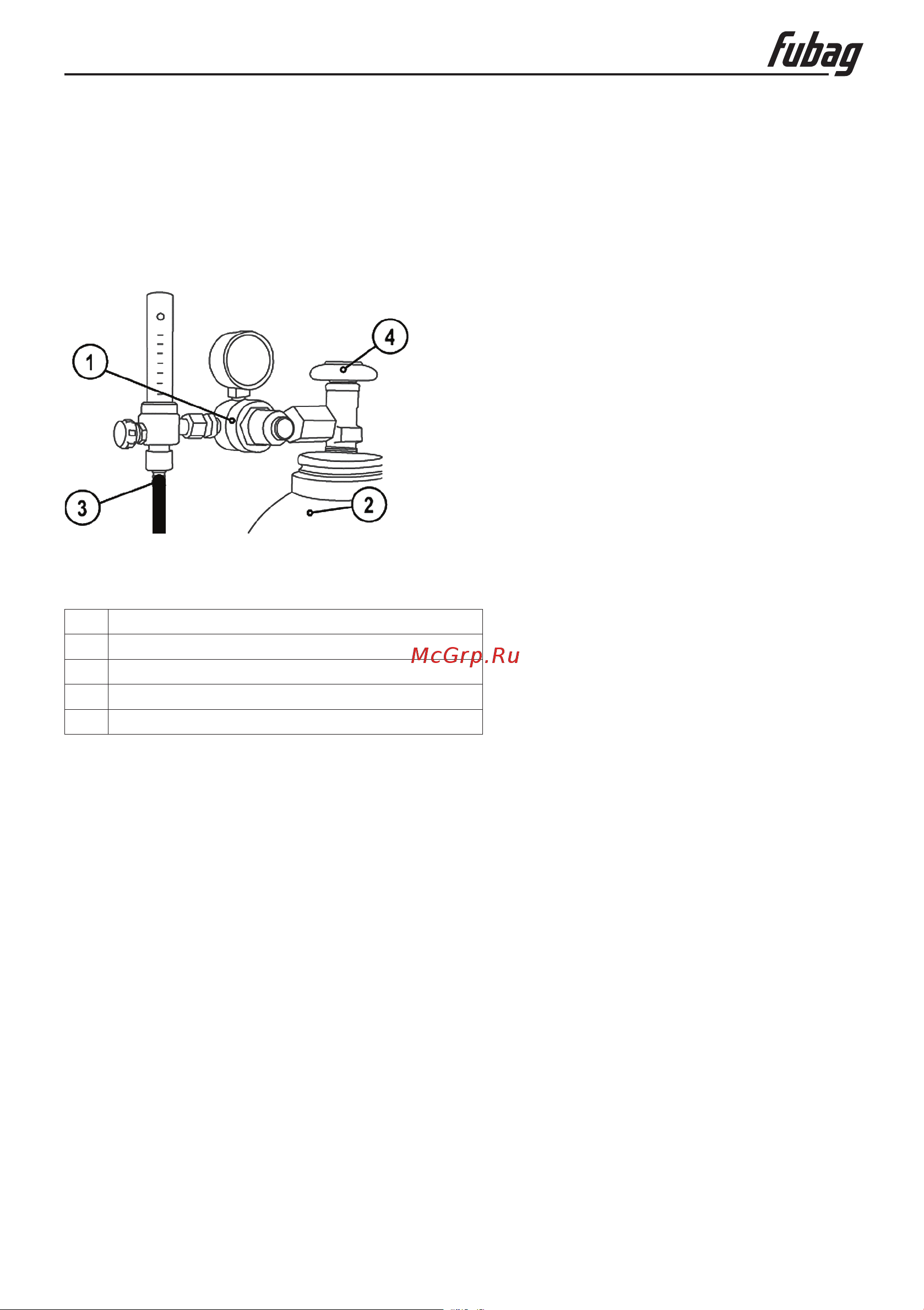 Fubag DRIVE INMIG DG для арт. 31438 и 31440, 41125 [11/17] Инструкция по эксплуатации