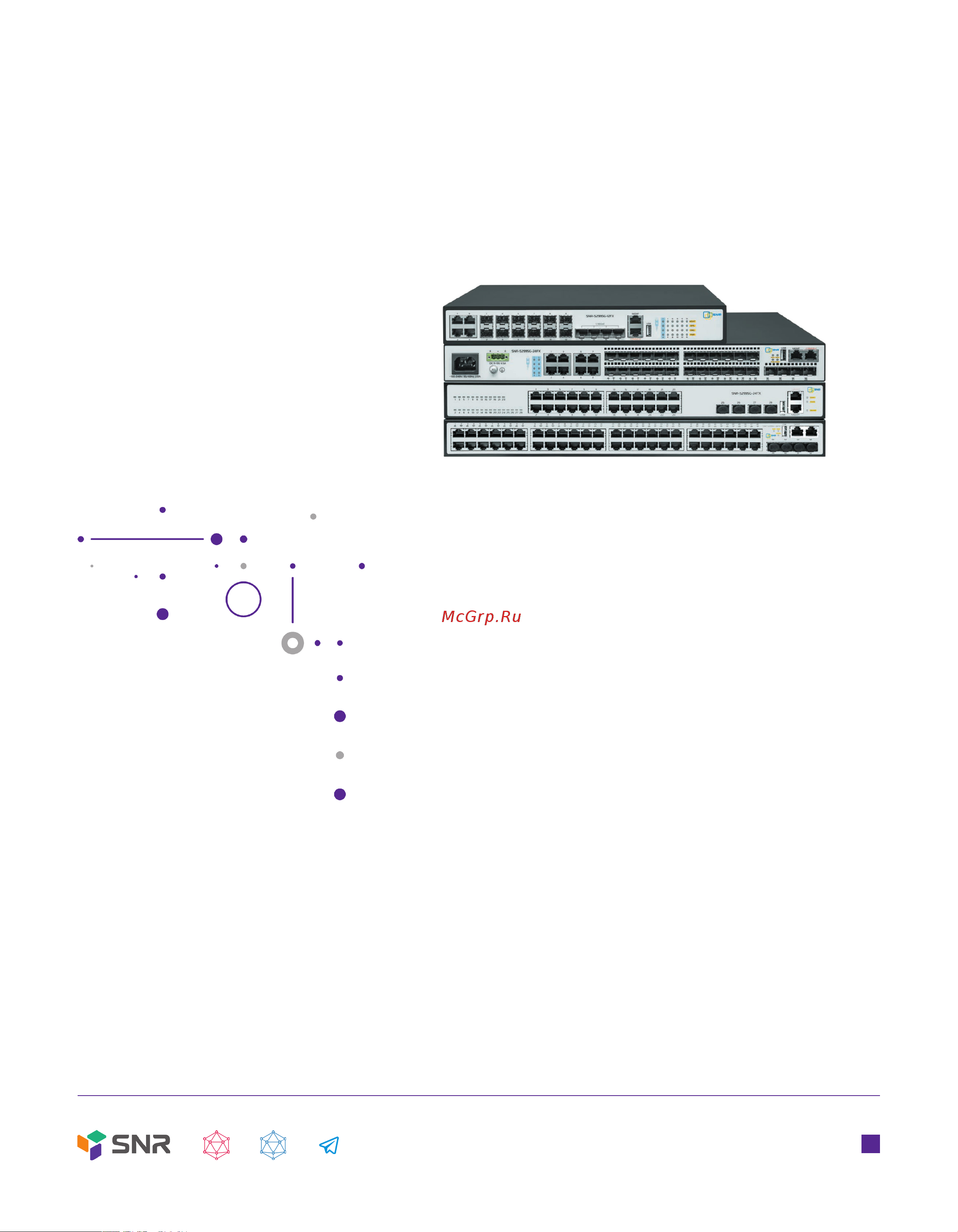 SNR S2995G-48TX-POE Техническое Описание онлайн