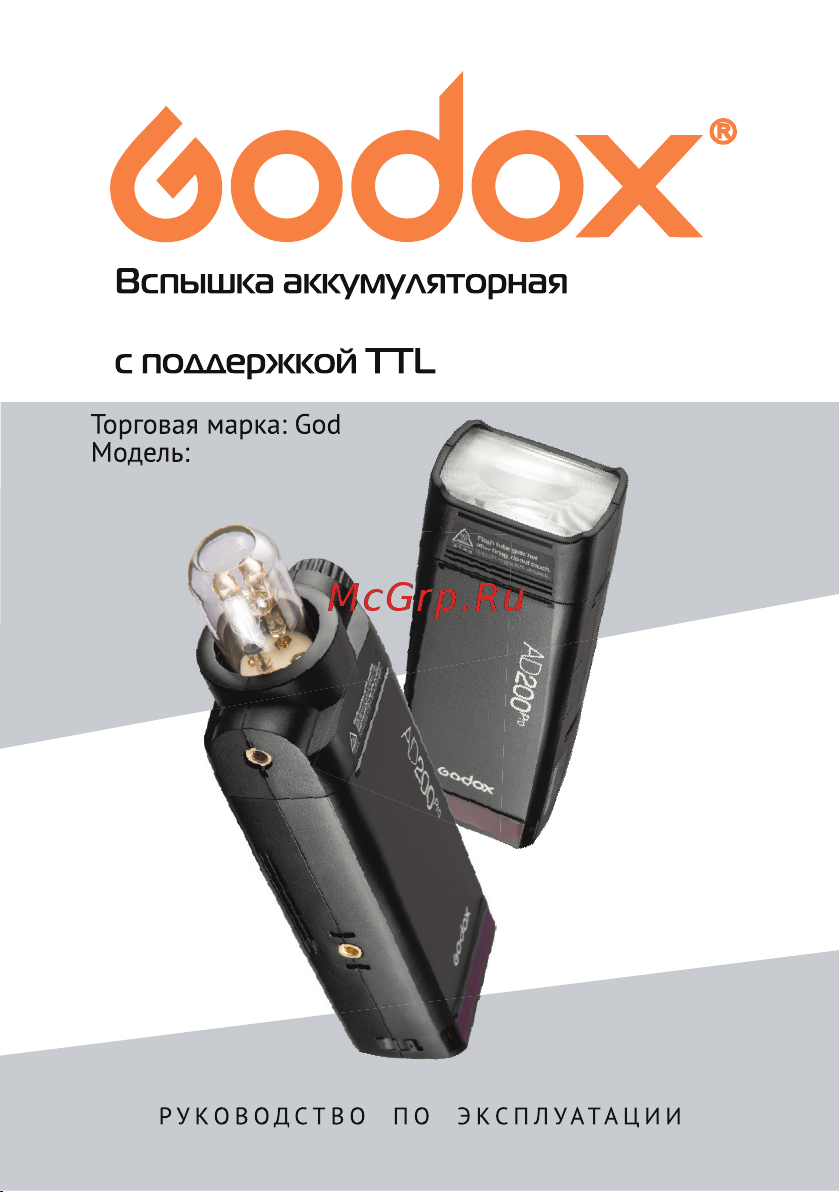 GODOX Witstro AD200Pro Руководство по эксплуатации онлайн