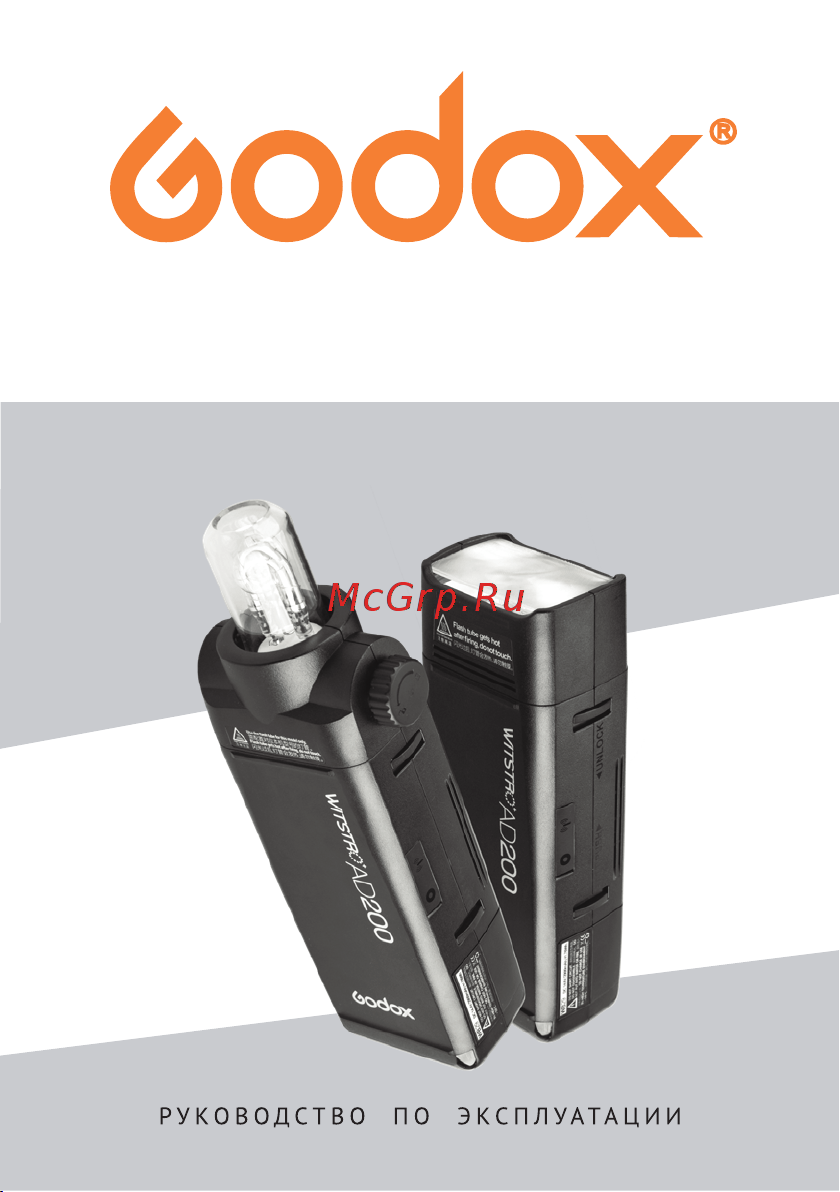 GODOX Witstro AD200 Руководство по эксплуатации онлайн
