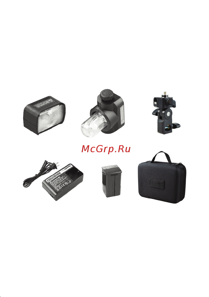 GODOX Witstro AD200 [15/44] Аксессуары в комплекте
