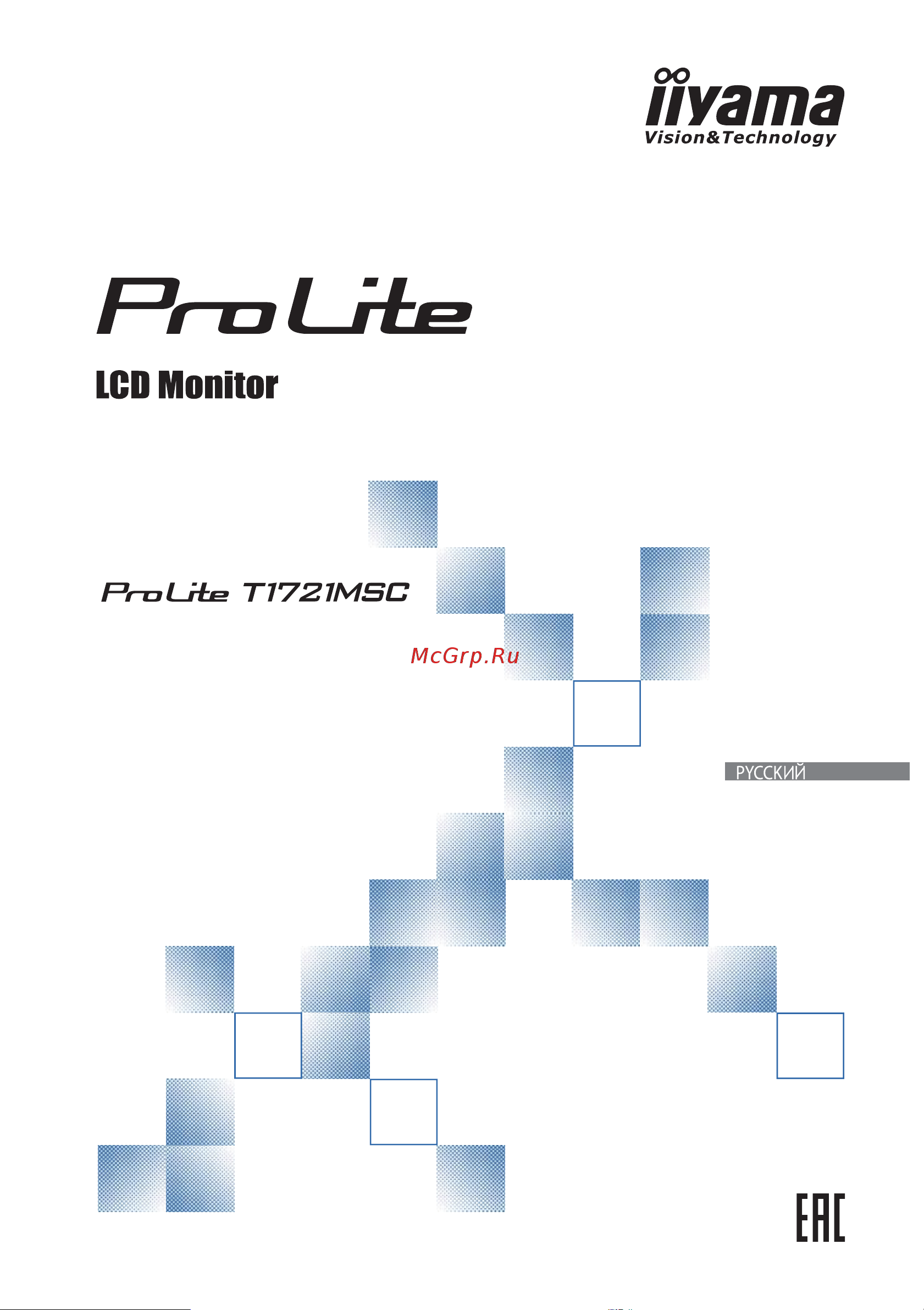 Iiyama ProLite T1721MSC-B1 Руководство по эксплуатации онлайн