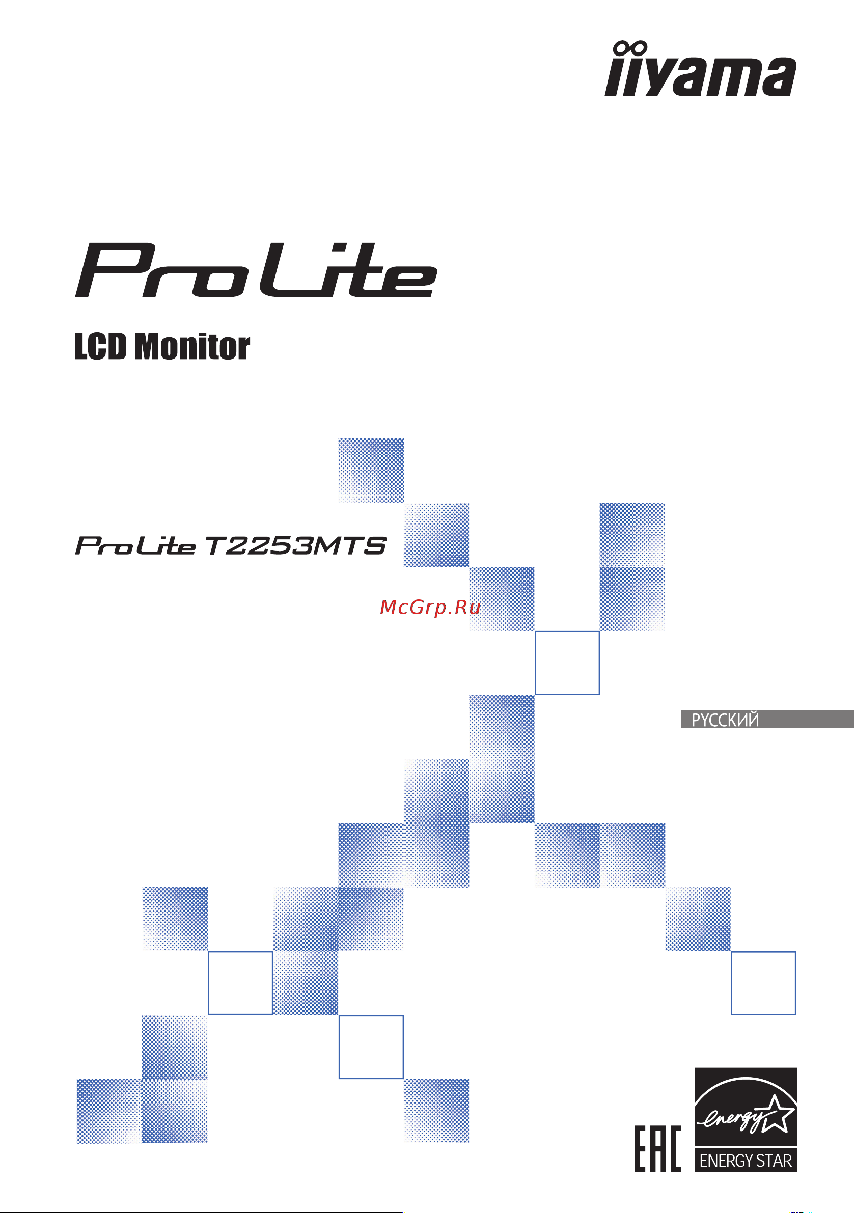 Iiyama ProLite T2253MTS-B1 Руководство по эксплуатации онлайн