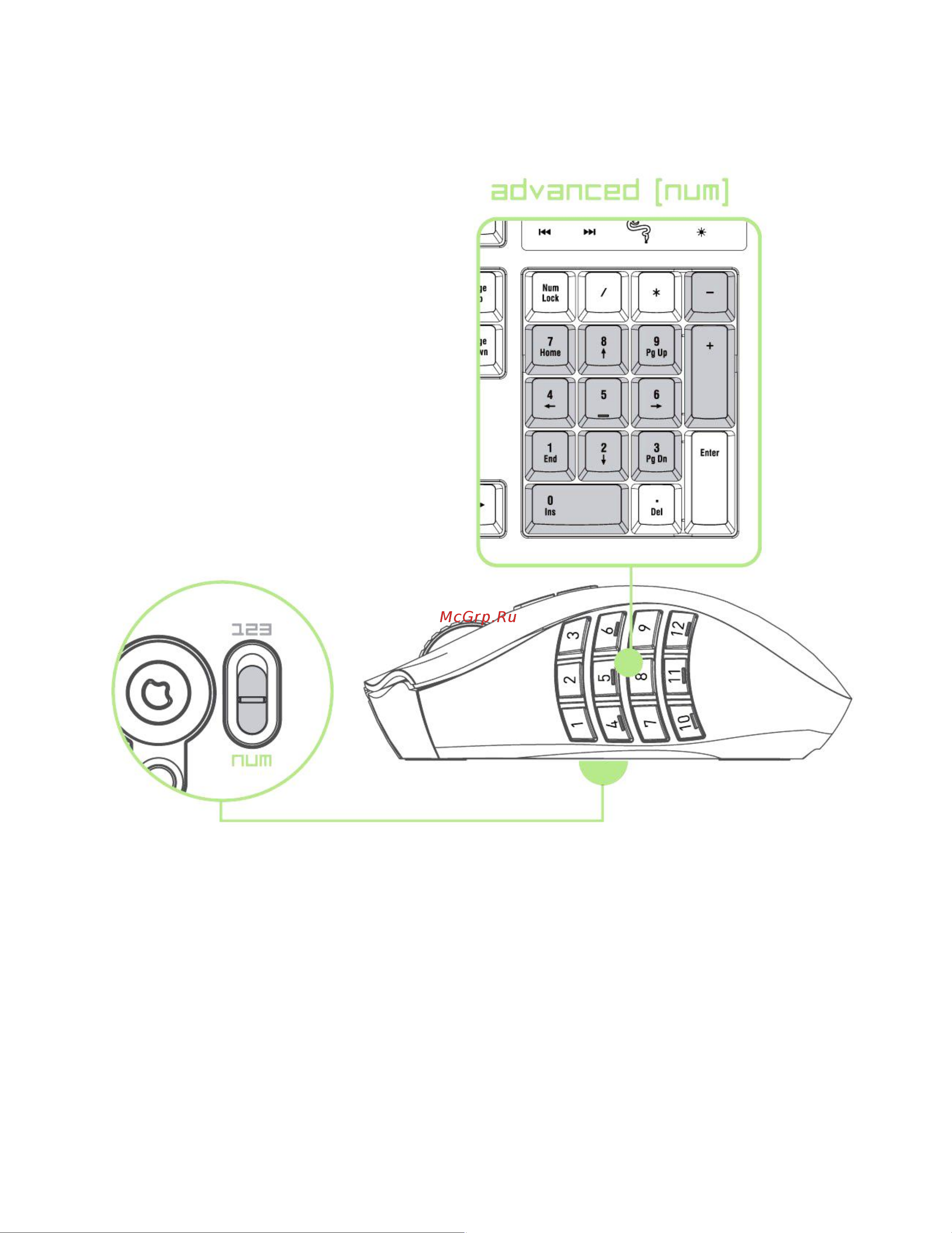 Razer Naga Epic RZ01-00510100-R3G1 Руководство по эксплуатации онлайн [12/38] 751107