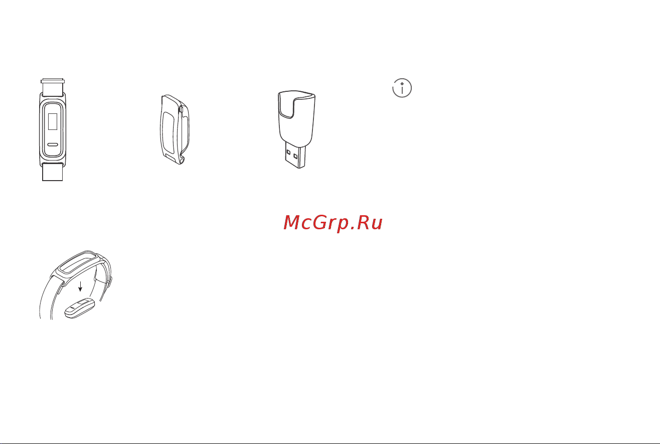 Huawei Band 4e Misty [4/15] Комплект поставки