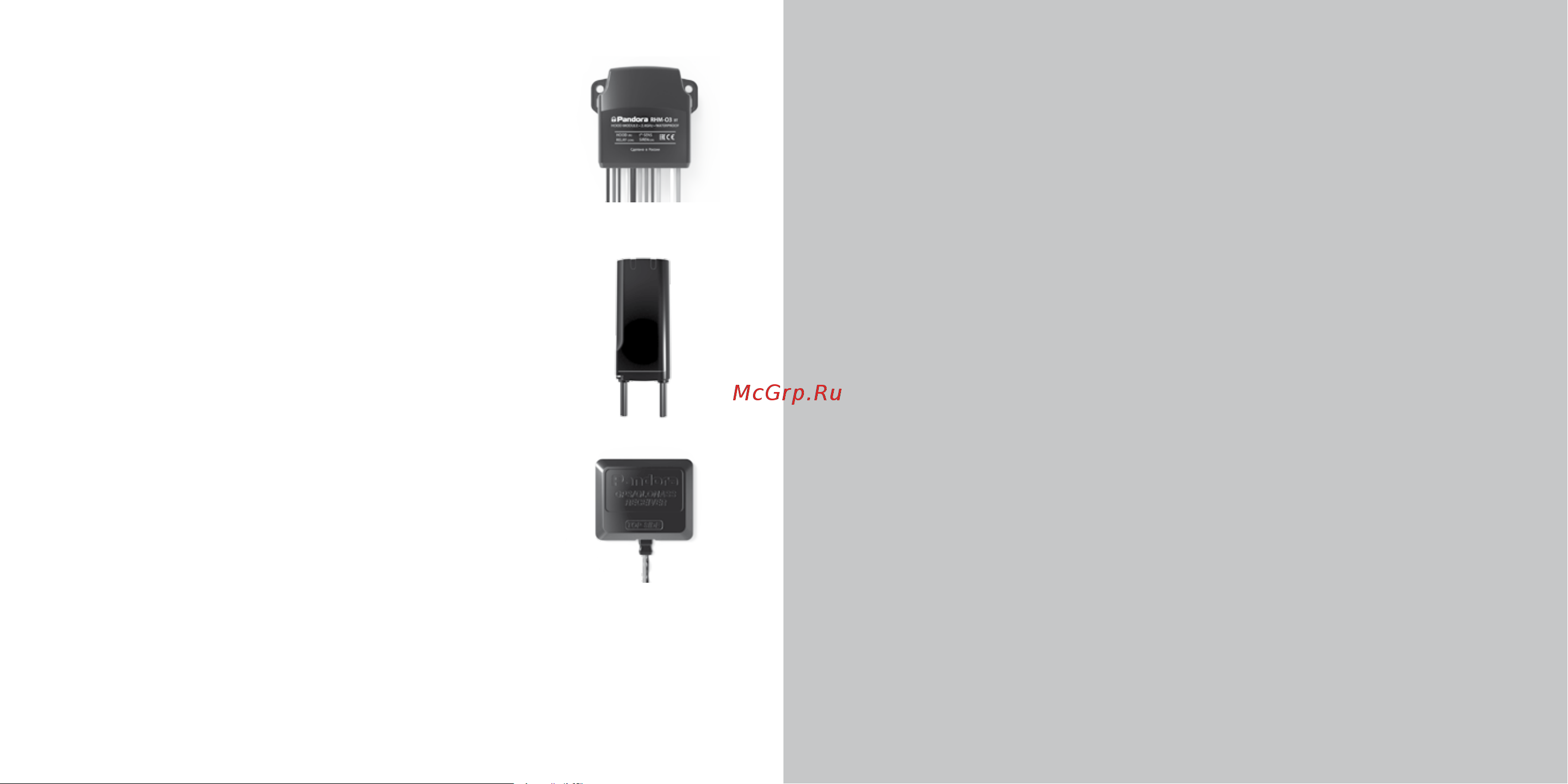 PanDECT X-3190 LoRa [30/33] Гарантийные обязательства