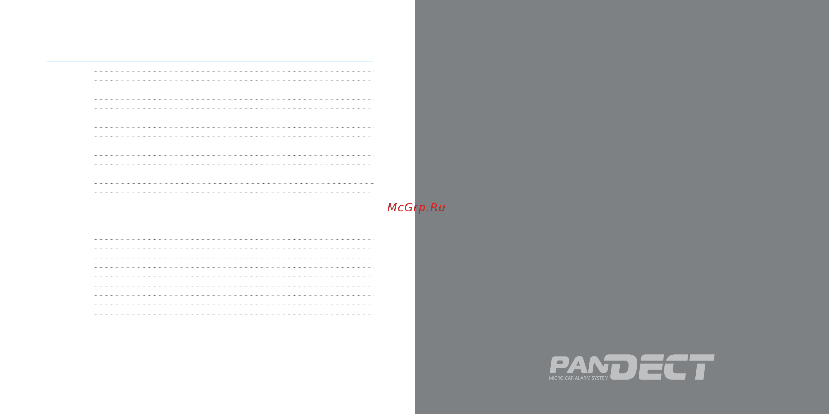 PanDECT Pandect X-1100 [3/23] Общая информация