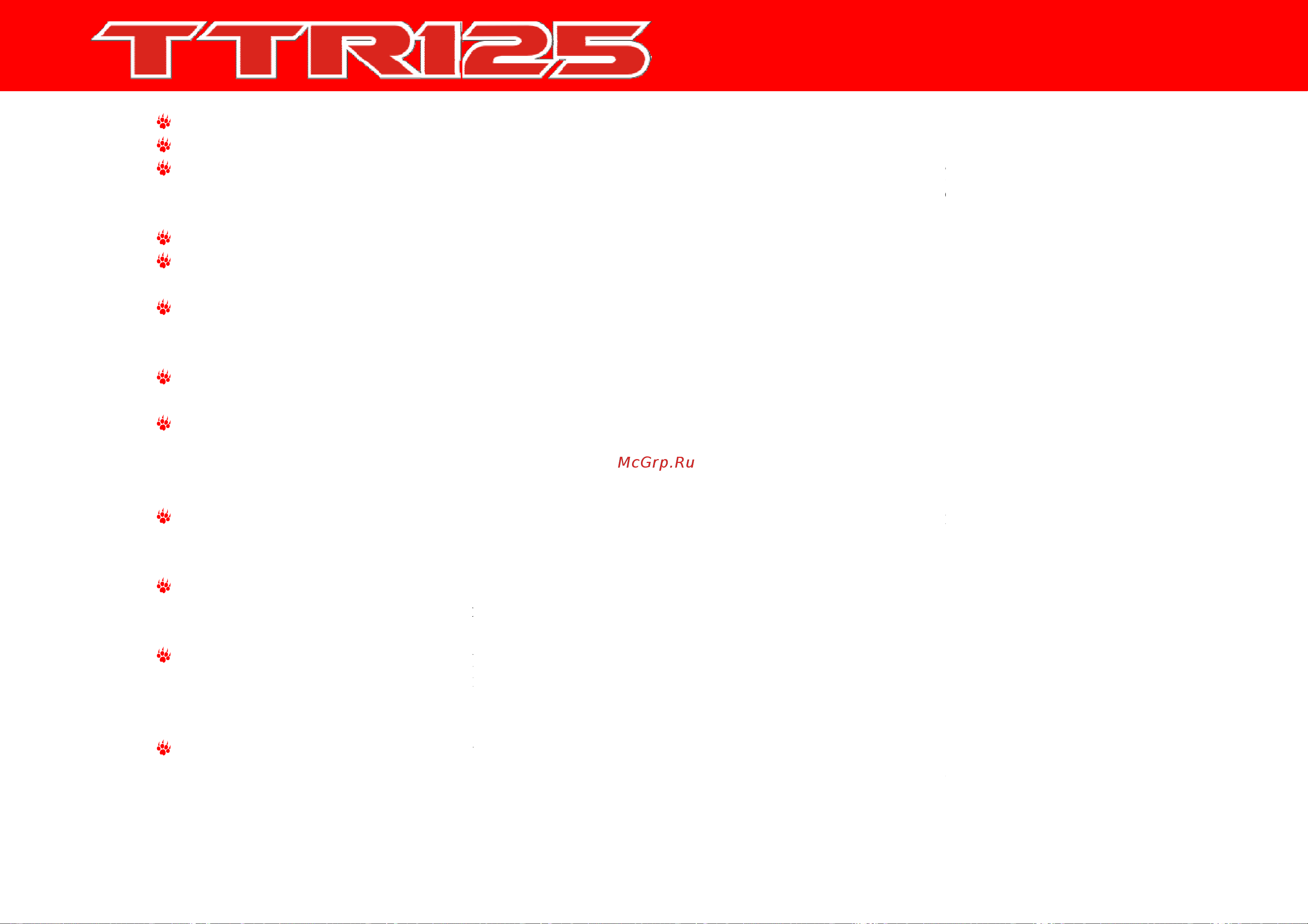 IRBIS MOTORS IRBIS TTR 125 [11/42] Техника