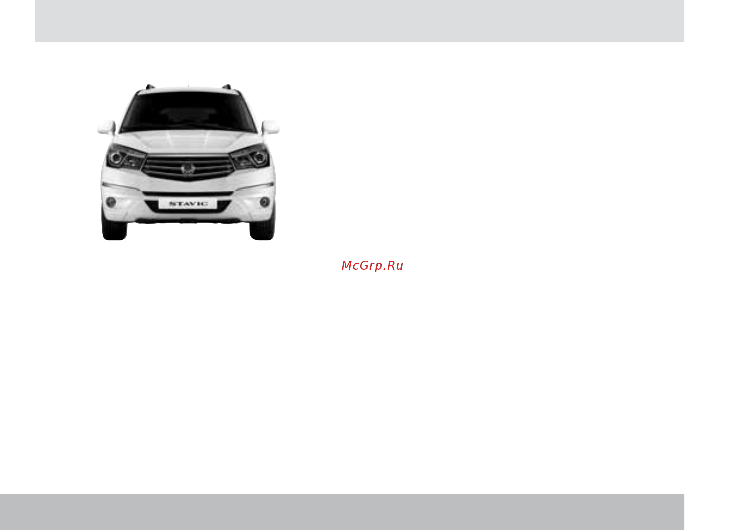 SSANGYONG Stavic [36/338] Чистящие средства