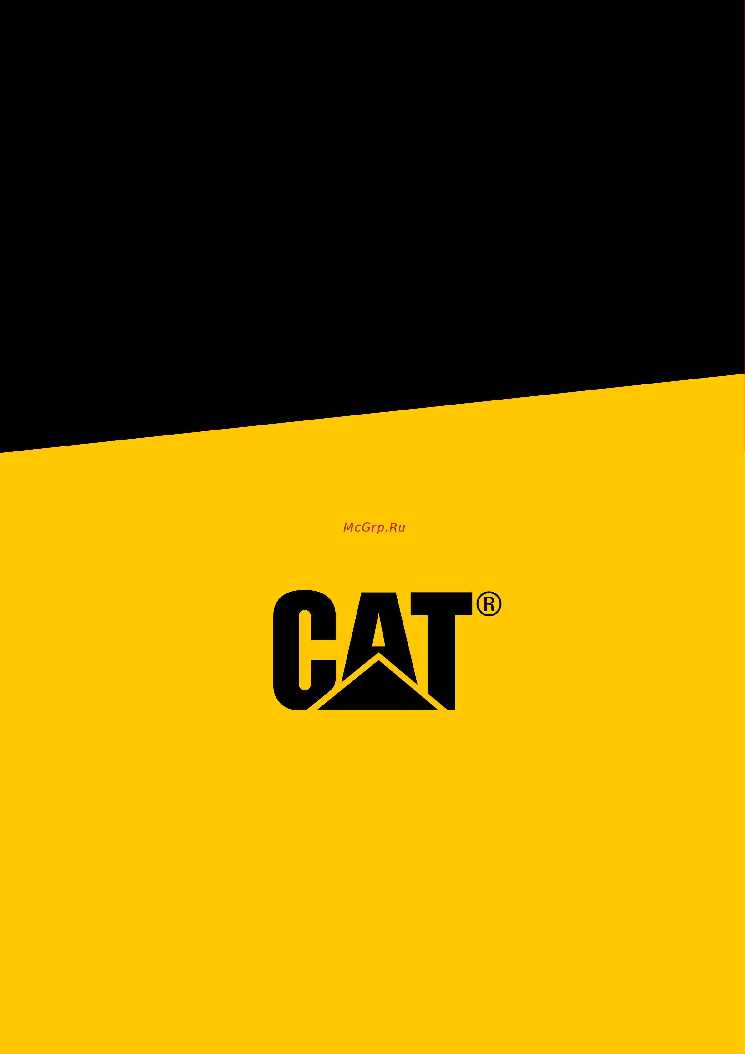 CAT S41 Руководство по эксплуатации онлайн