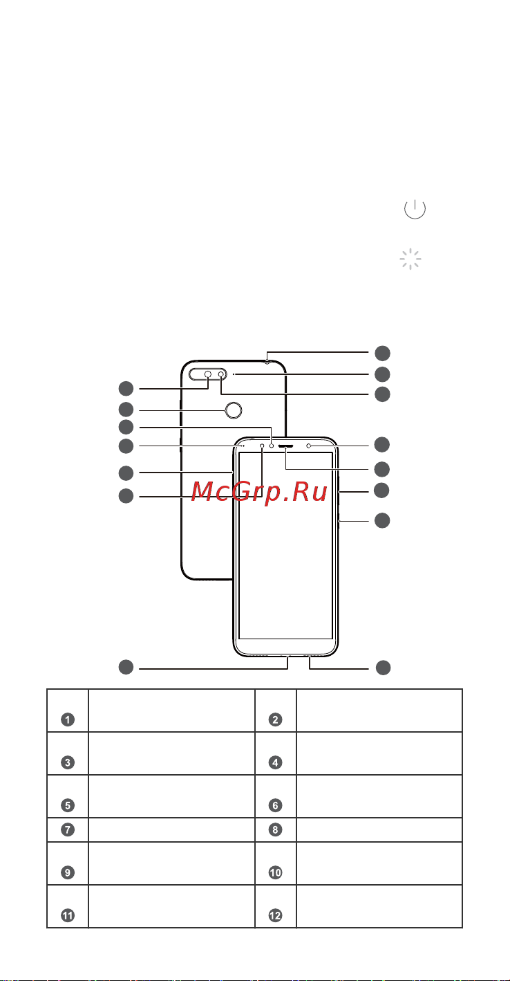 Huawei Y6 2018 Prime (ATU-L31) [2/27] Знакомство с устройством