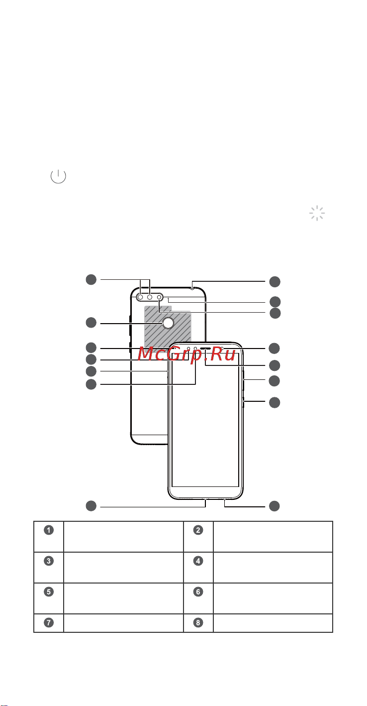 Honor 7C 32GB [2/25] Знакомство с устройством