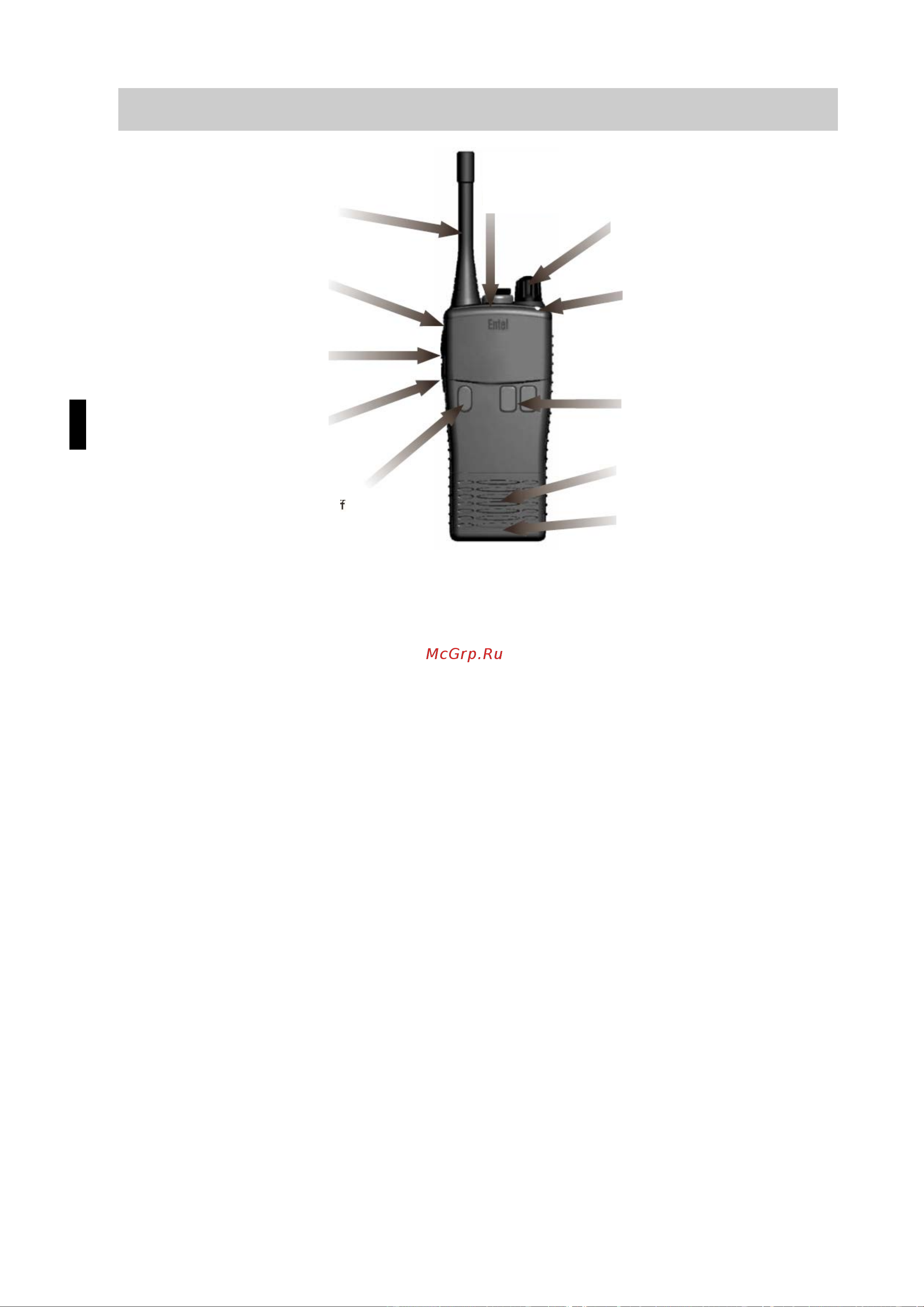 Entel HT582PMR [10/17] Органы управления и индикаторы