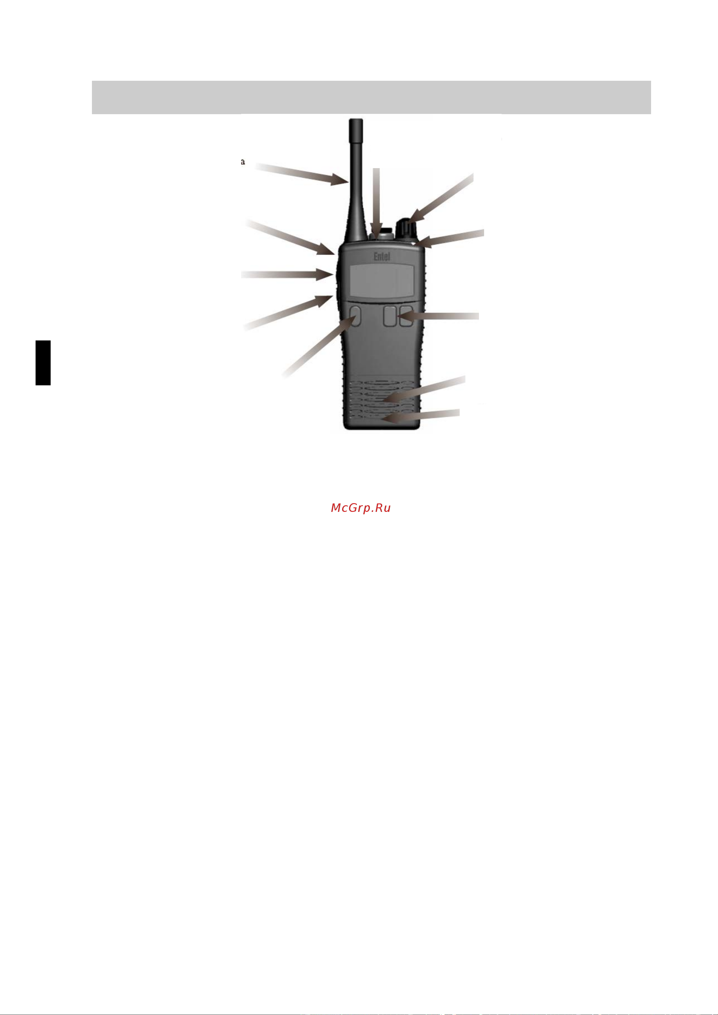 Entel HT582PMR [12/17] Органы управления и индикаторы