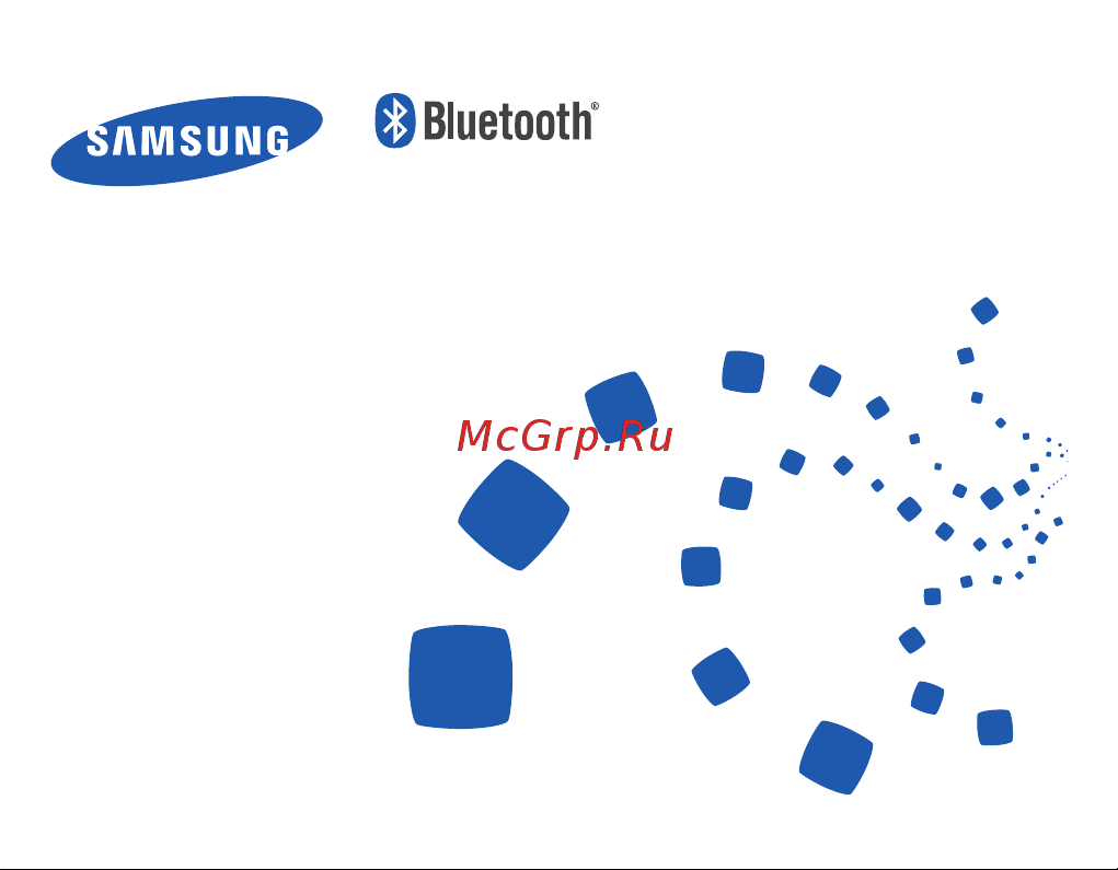 Samsung BHM1100 Руководство по эксплуатации онлайн