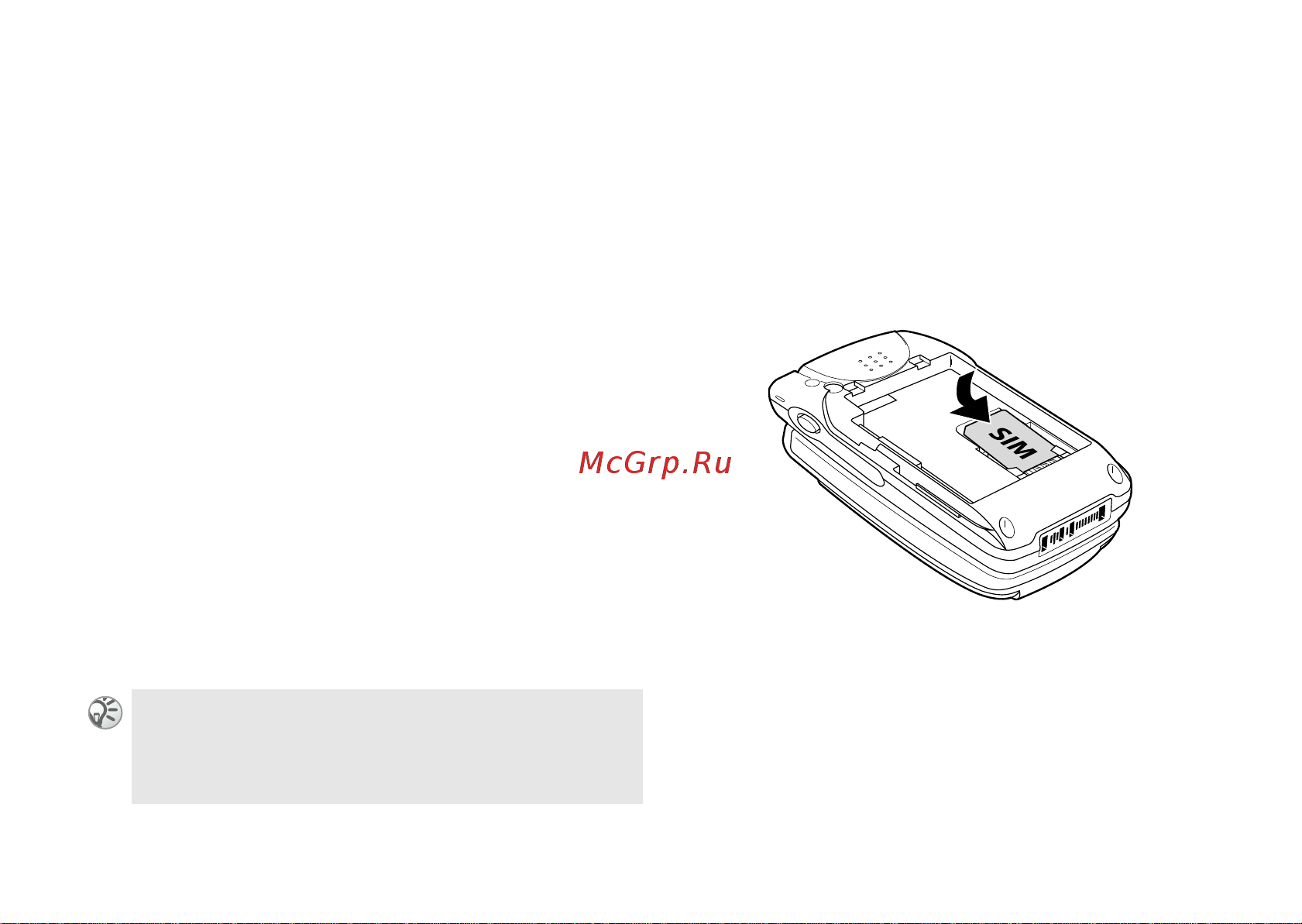 SONY-ERICSSON Sony Ericsson Z600 [16/128] Sim карта и аккумулятор