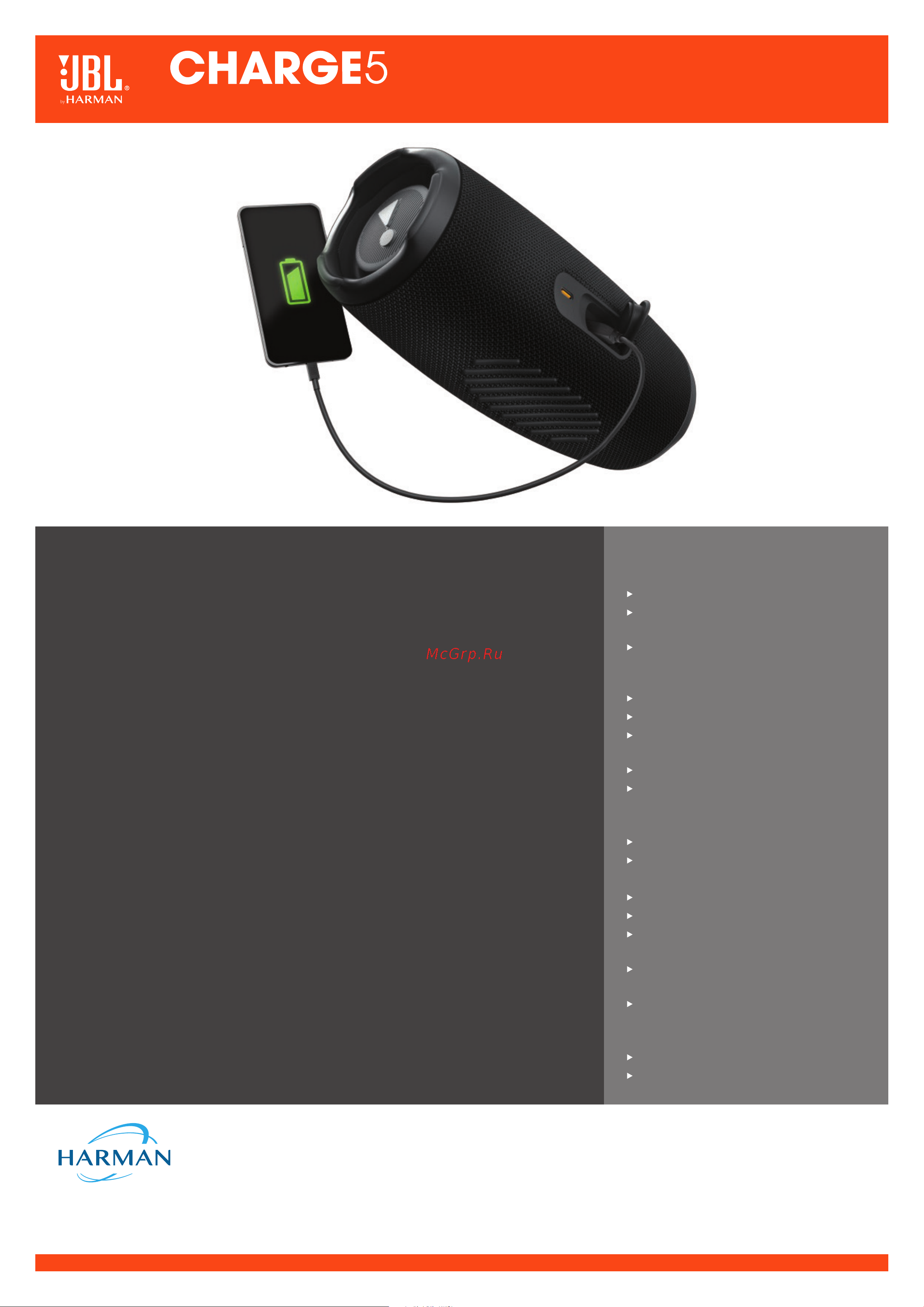 JBL CHARGE 5 [2/2] Комплект поставки