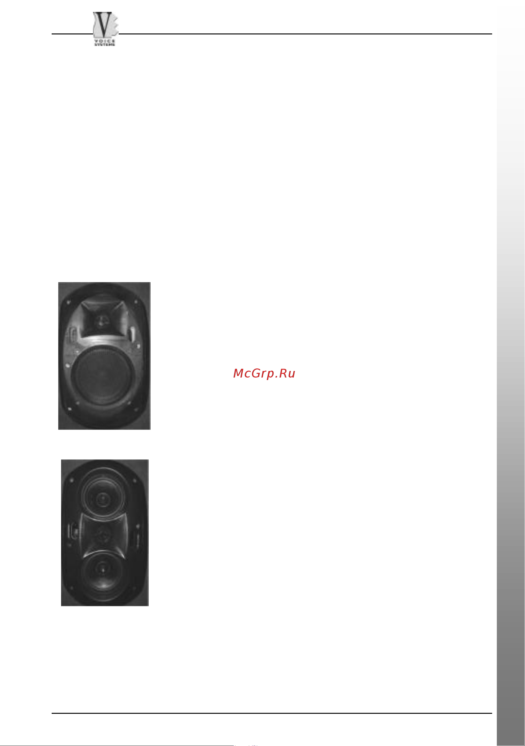 VOICE SYSTEMS BEE-P.Max [5/44] Bee series compact professional speaker system