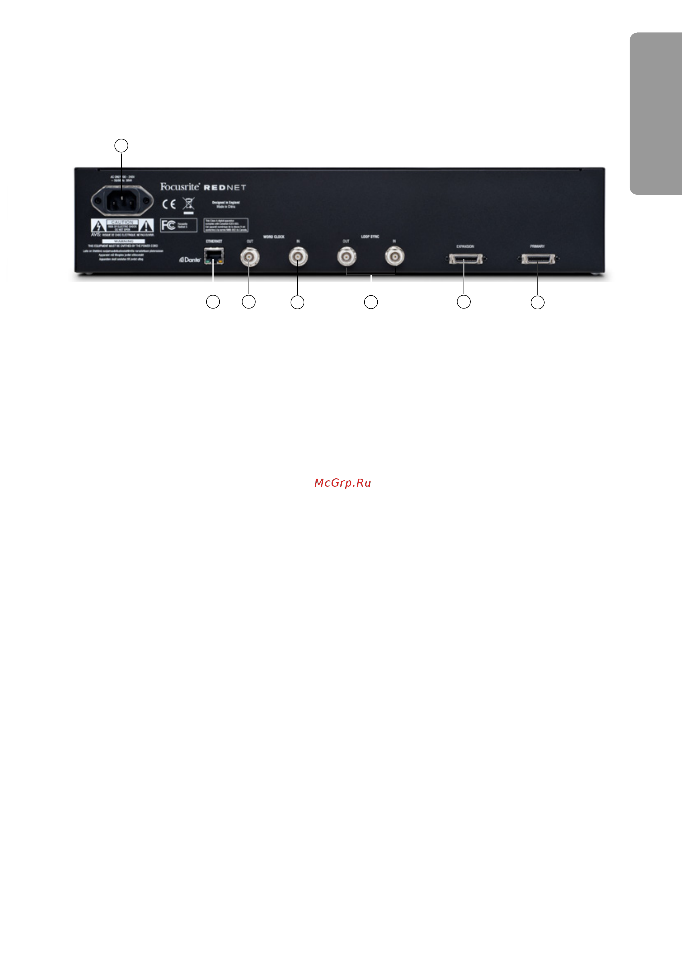 Focusrite RedNet PCIe R Card [32/66] Rednet 5