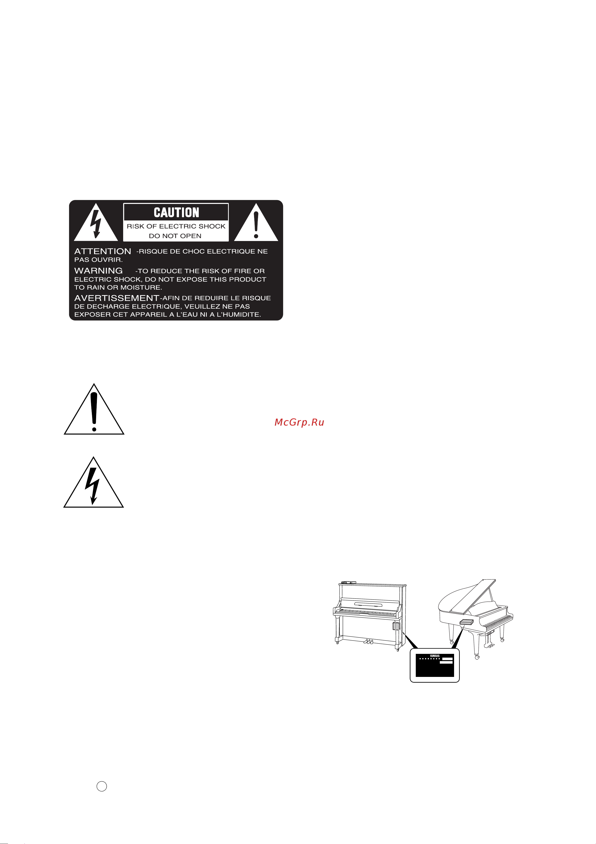 Yamaha DGC1E3PWH [2/207] Special message section