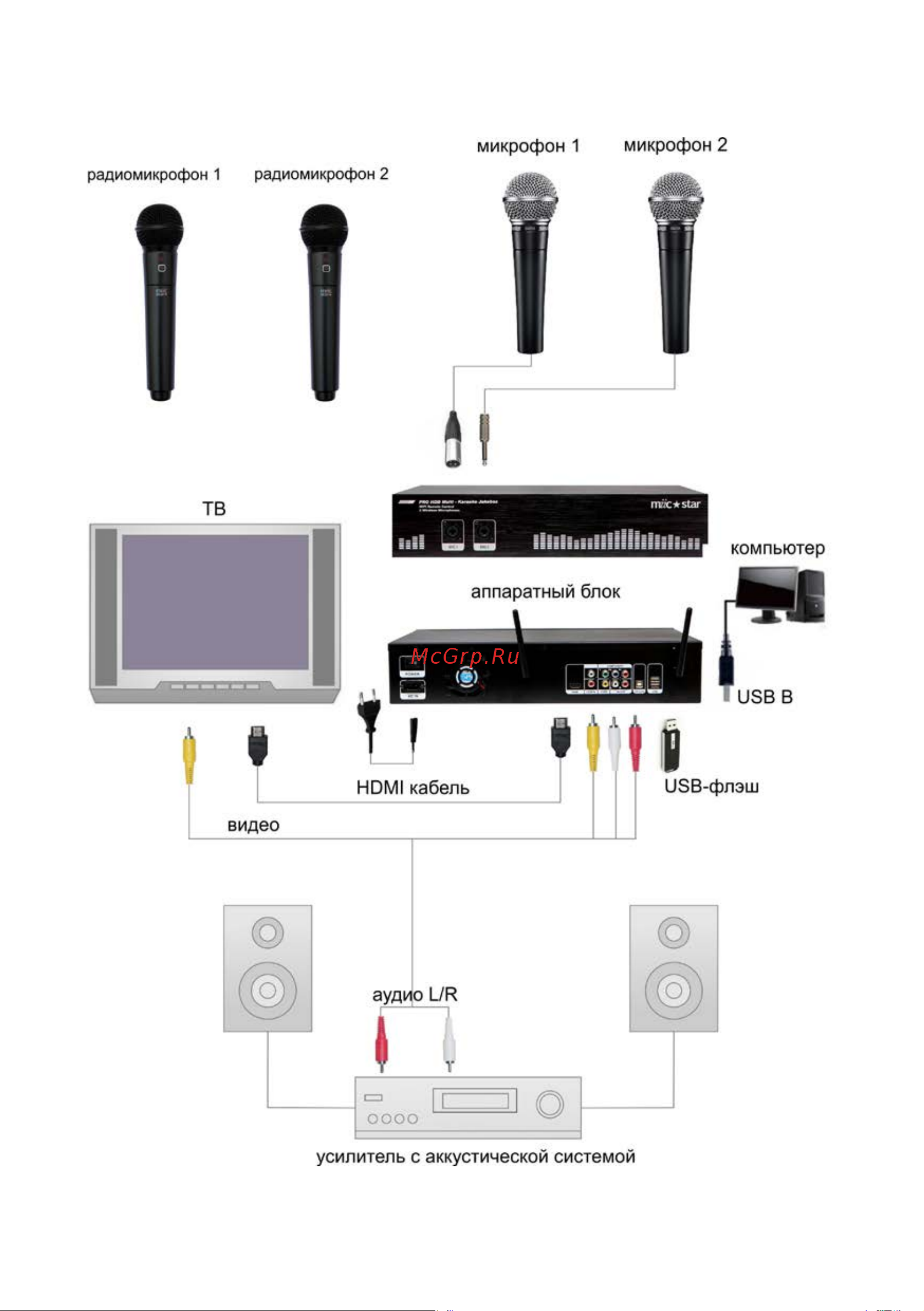MIICSTAR MIIC STAR PRO [4/24] Рис 2