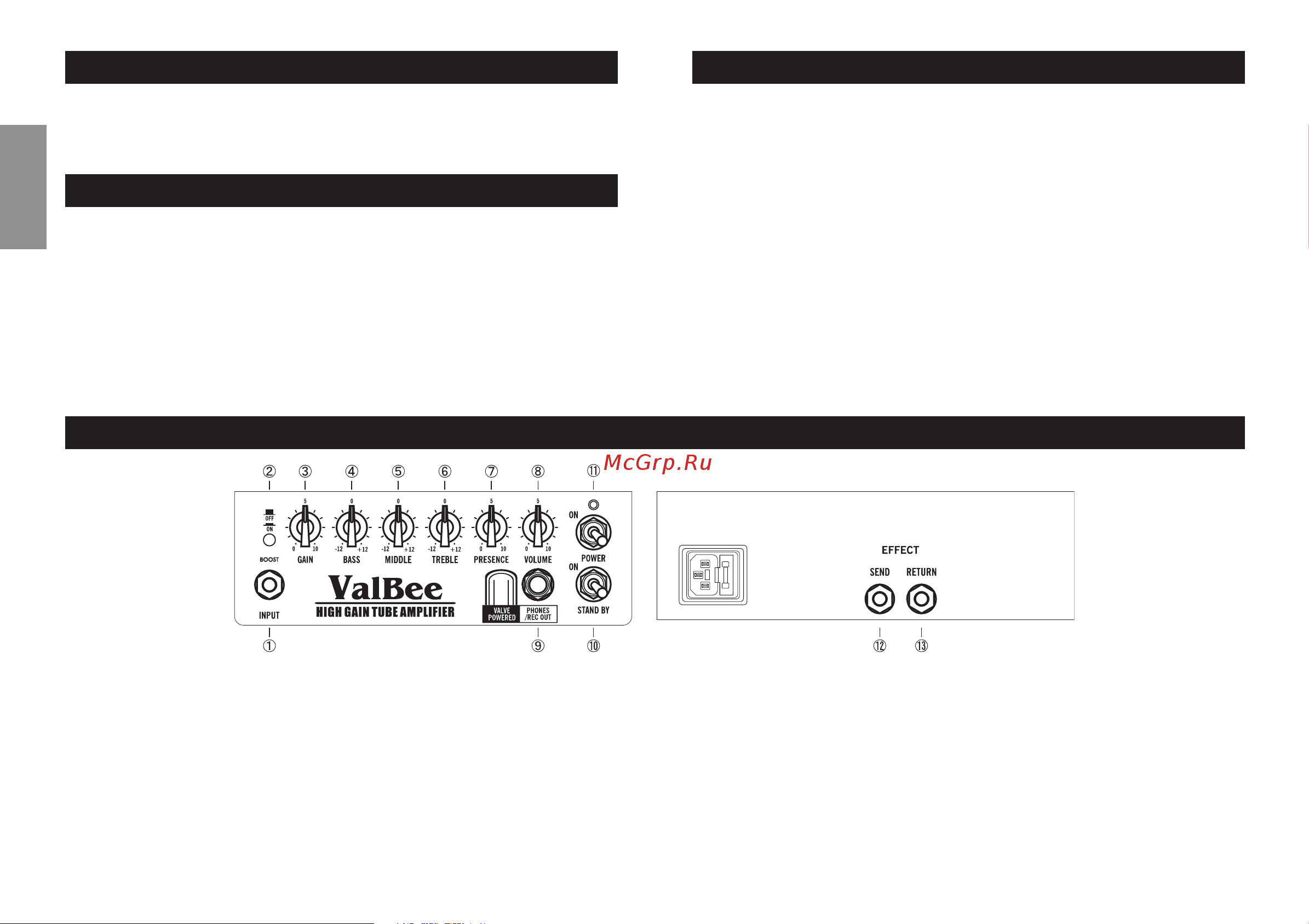 Ibanez VBG [12/20] Características