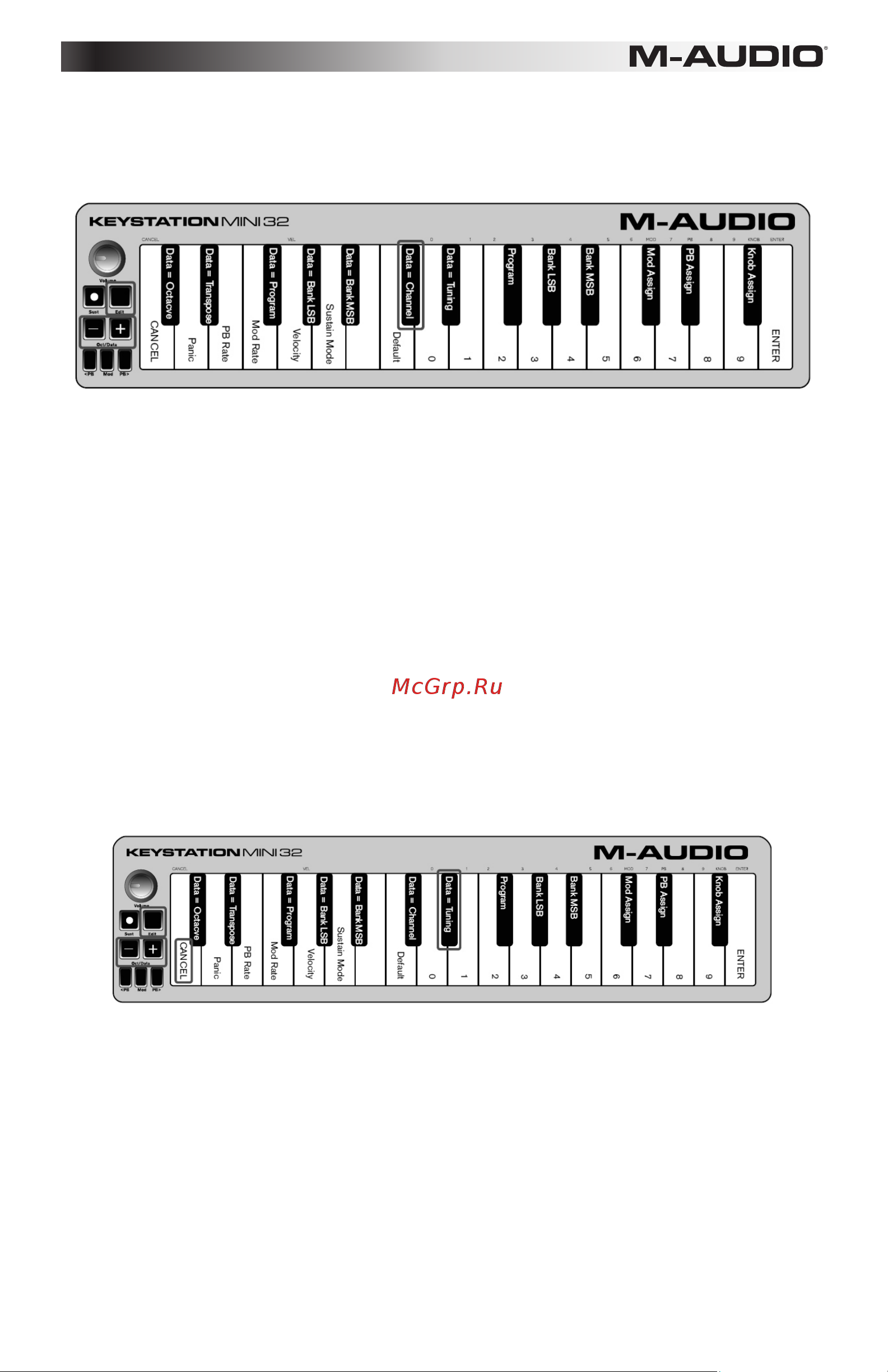 M-Audio Keystation Mini 32 - New [22/80] Afinación