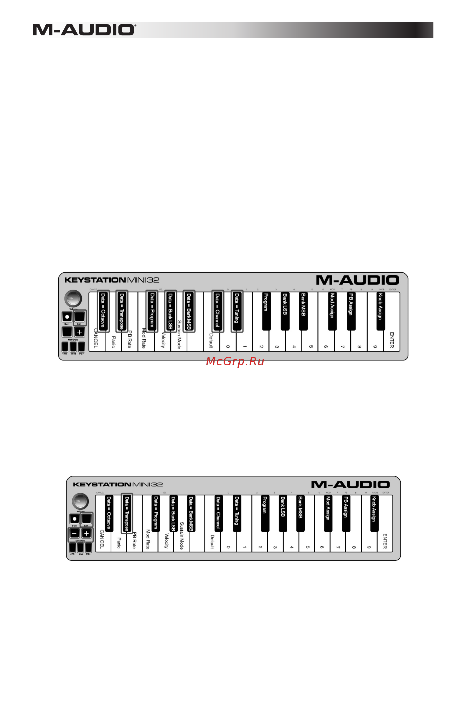 M-Audio Keystation Mini 32 - New [5/80] Reassigning the octave data buttons