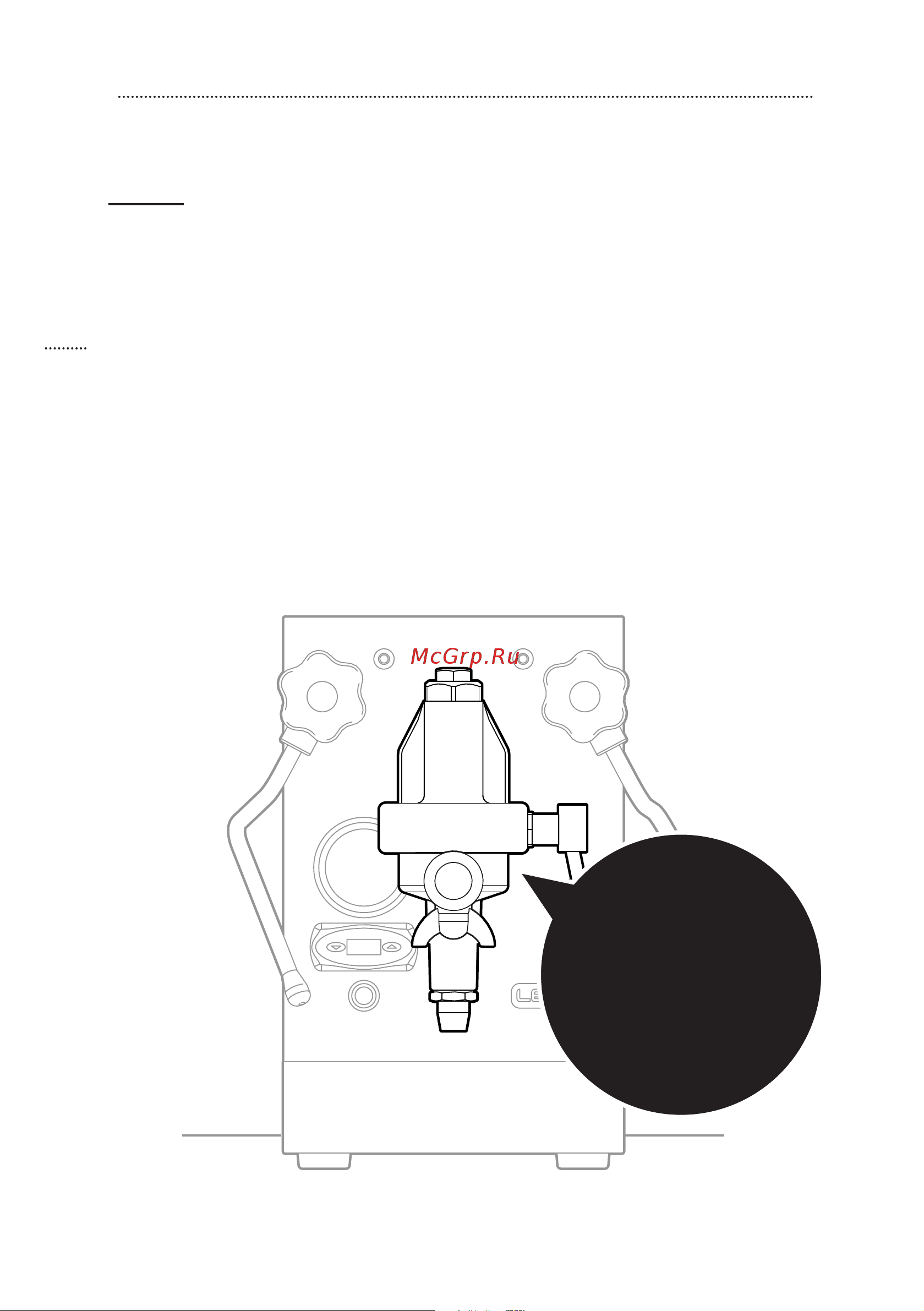Lelit Mara PL62T [12/158] E61 type group