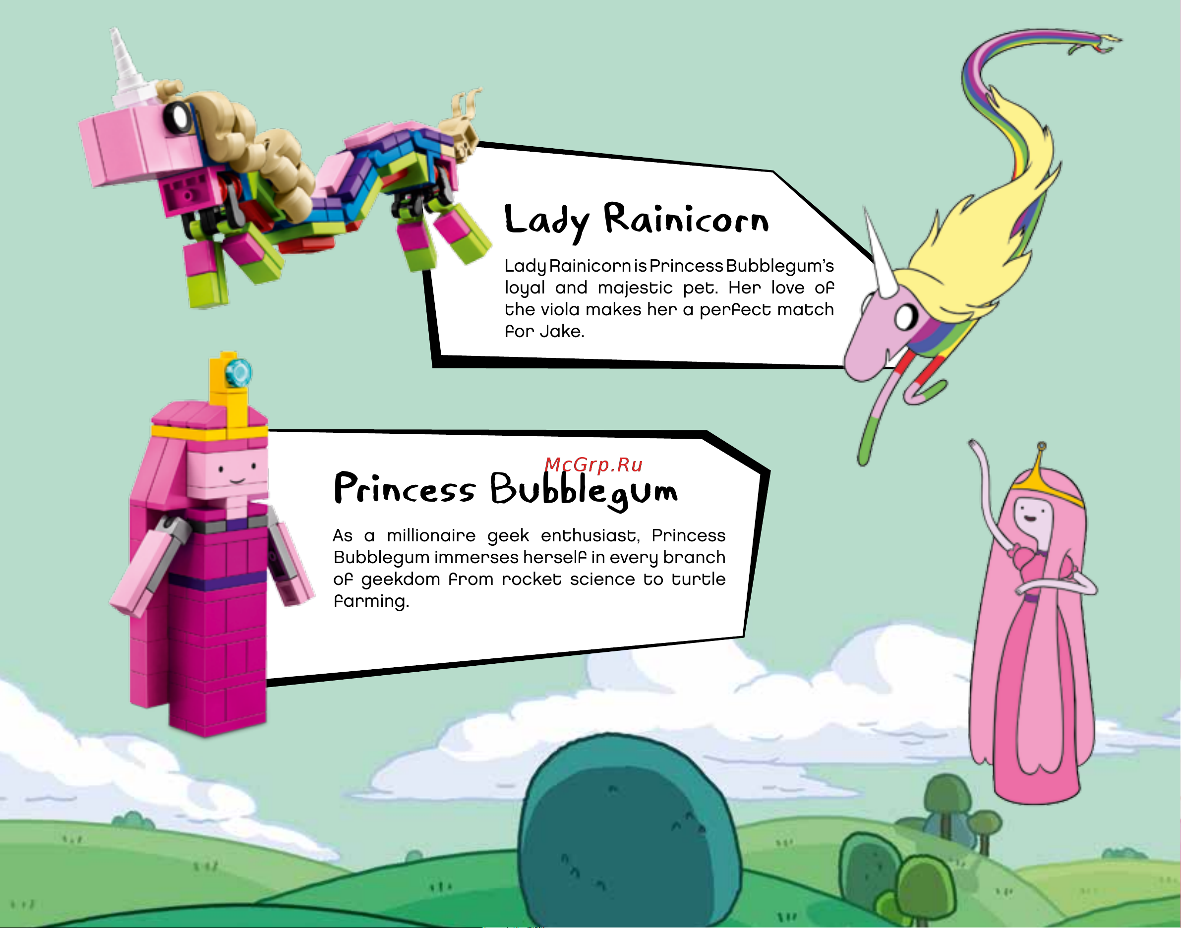 Lego Ideas 21308 Adventure Time (Время приключений) [6/84] Lady rainicorn