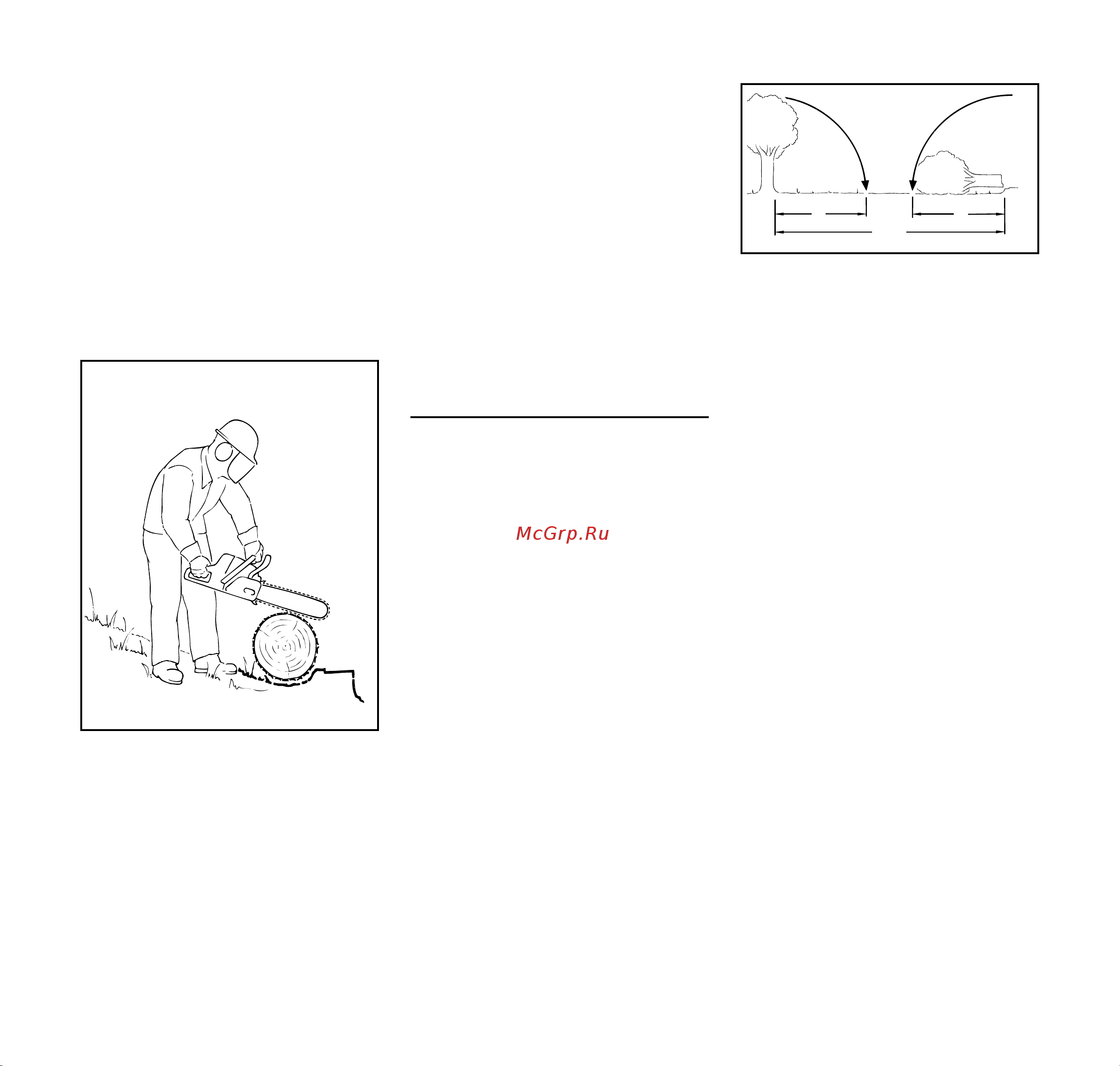 Stihl MSA 160 C-BQ 12 Руководство по эксплуатации онлайн [11/492] 768595