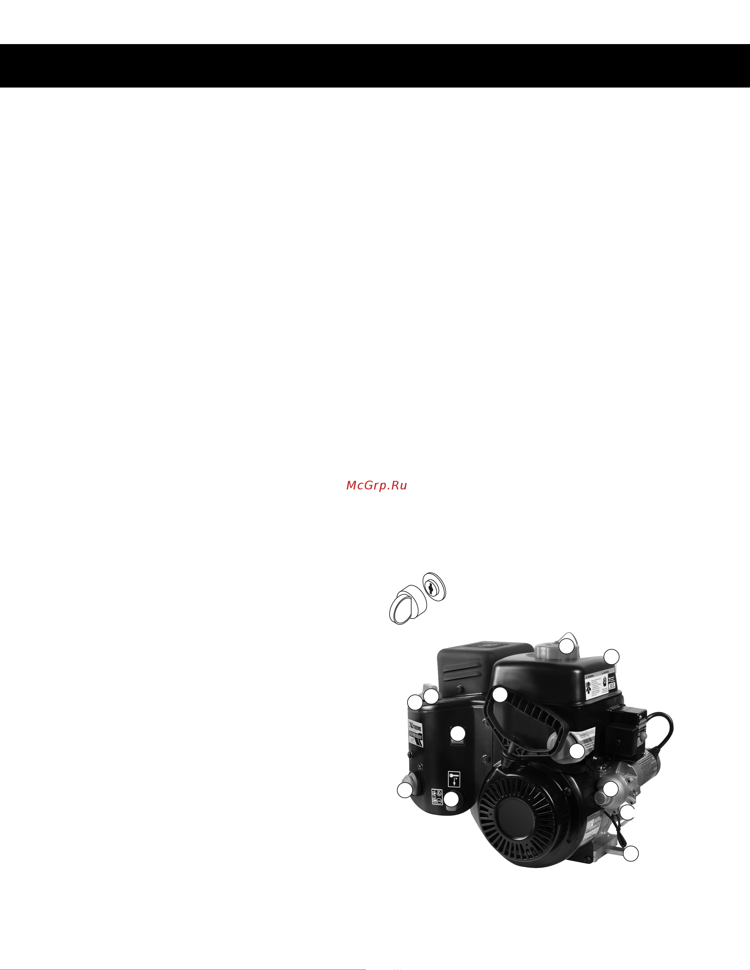 Husqvarna ST131 [20/31] Bouton de commande de l étrangleur