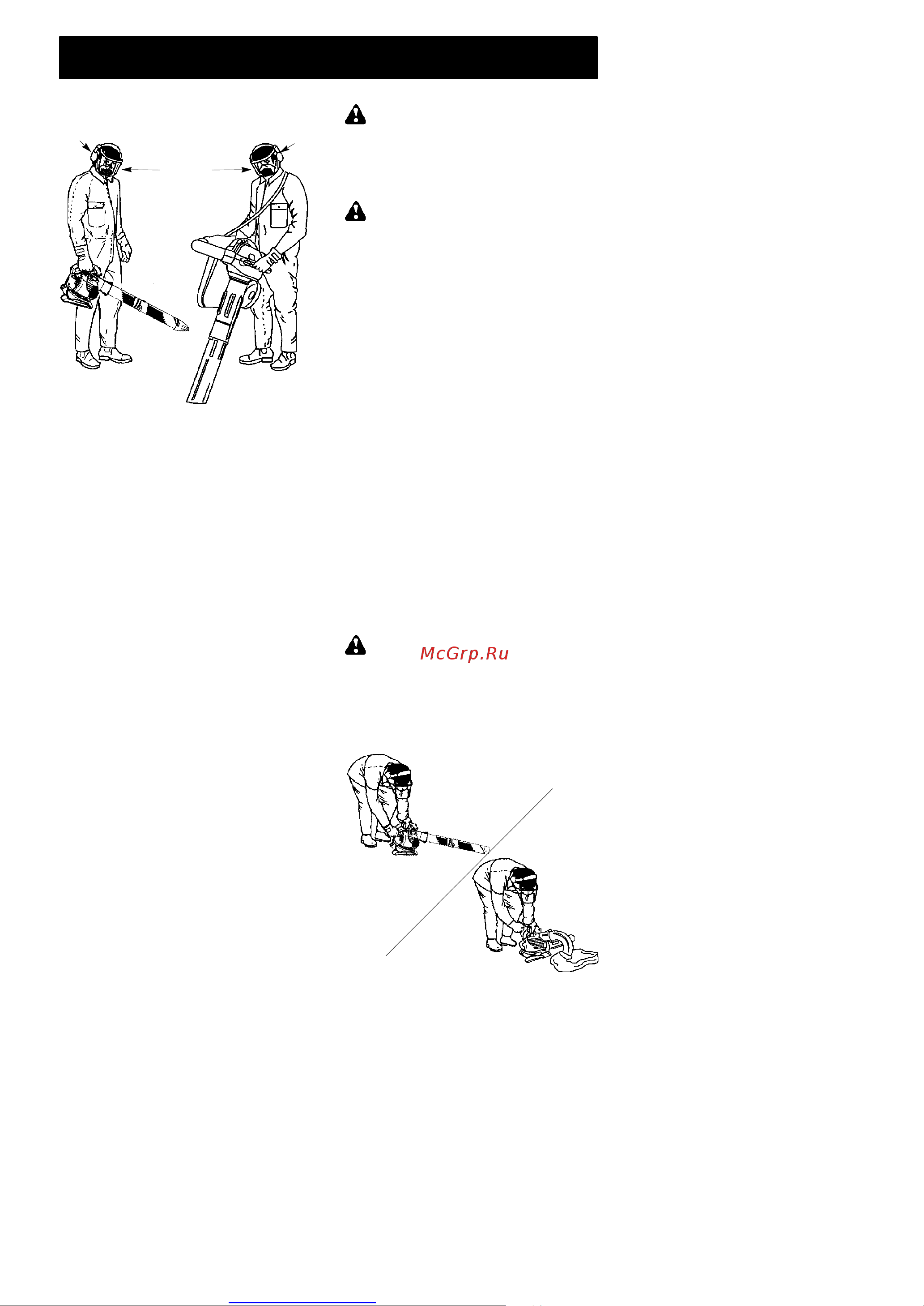 McCulloch GBV325 [7/12] More user manuals on