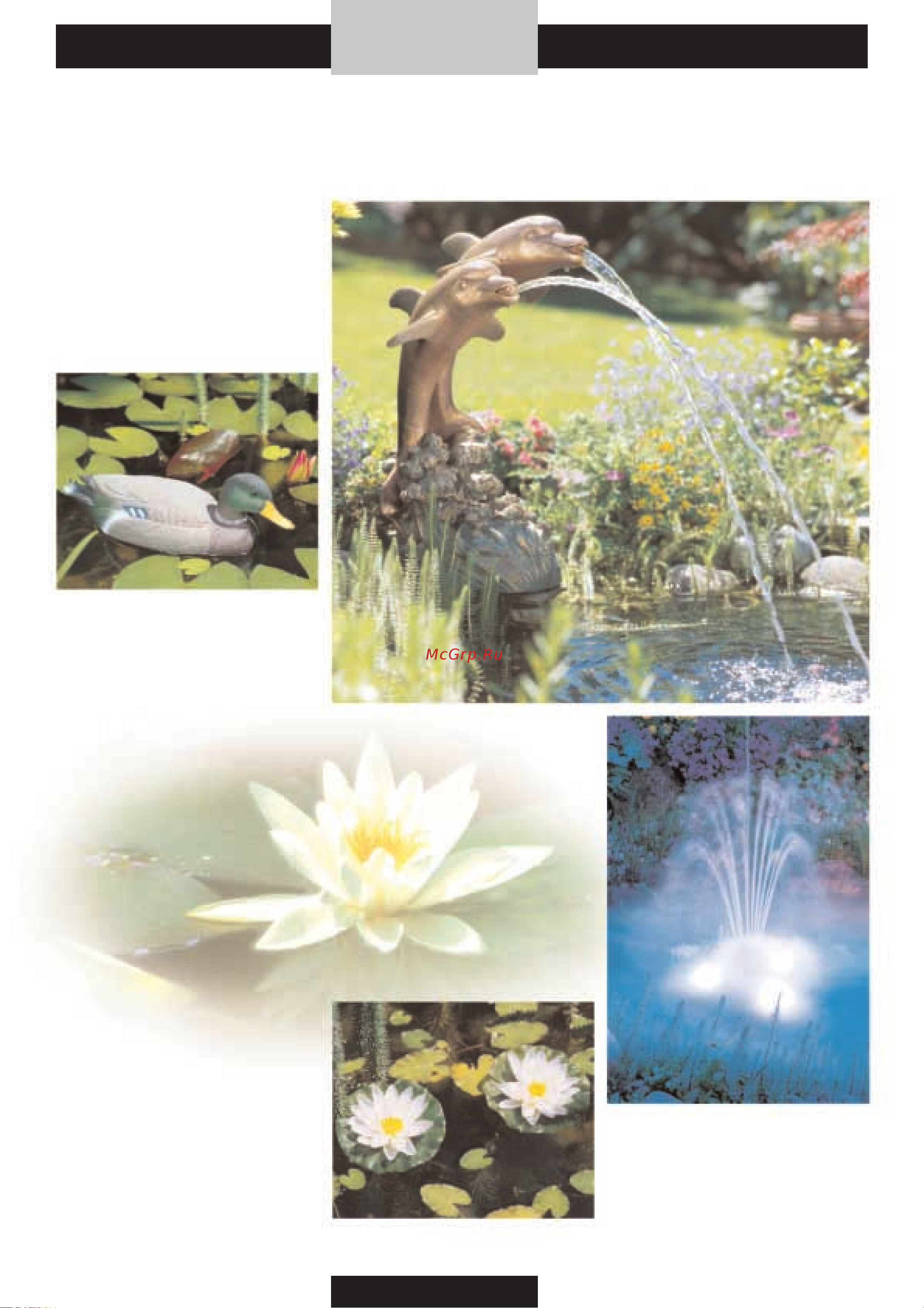 Gardena 03180-20.000.00 [164/176] Gardena водный мир прудовый декор широкий выбор высококачественное исполнение