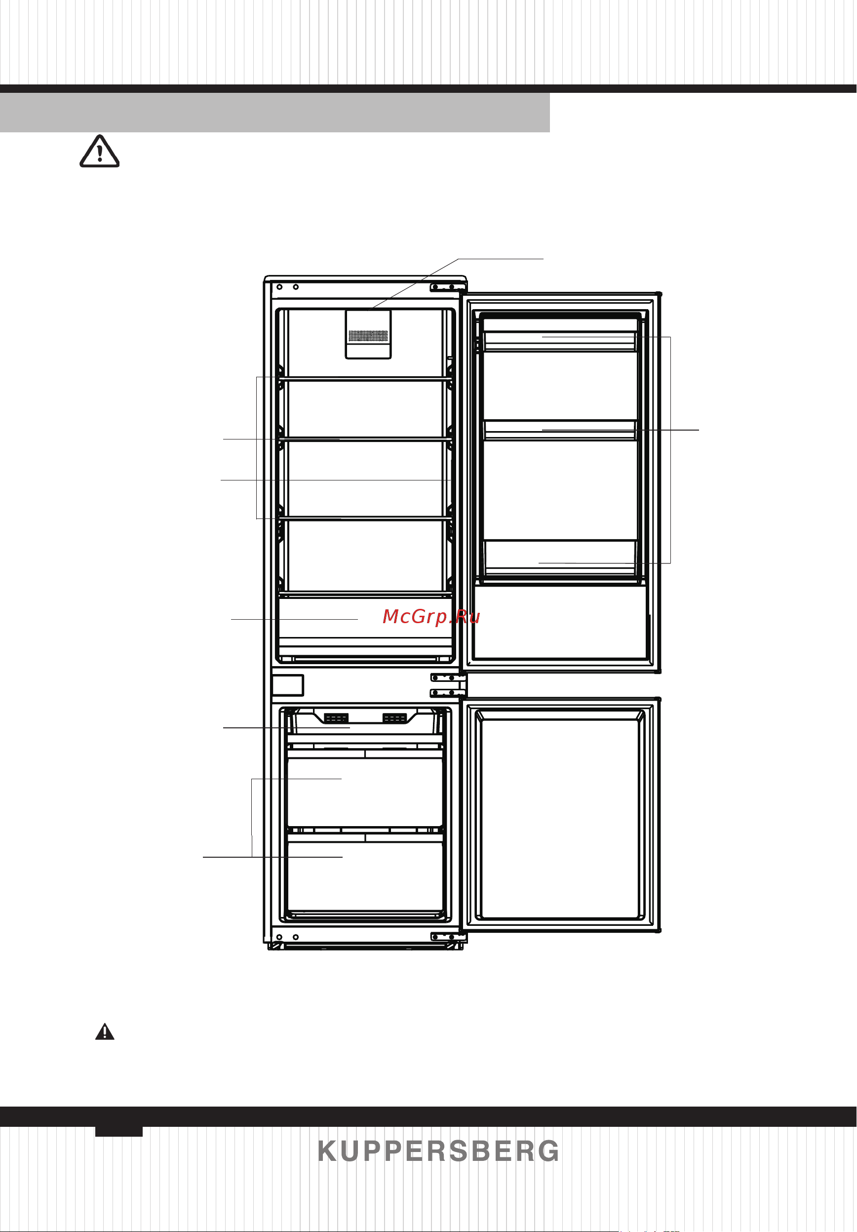 Kuppersberg NBM17863 [48/92] Structure and functions