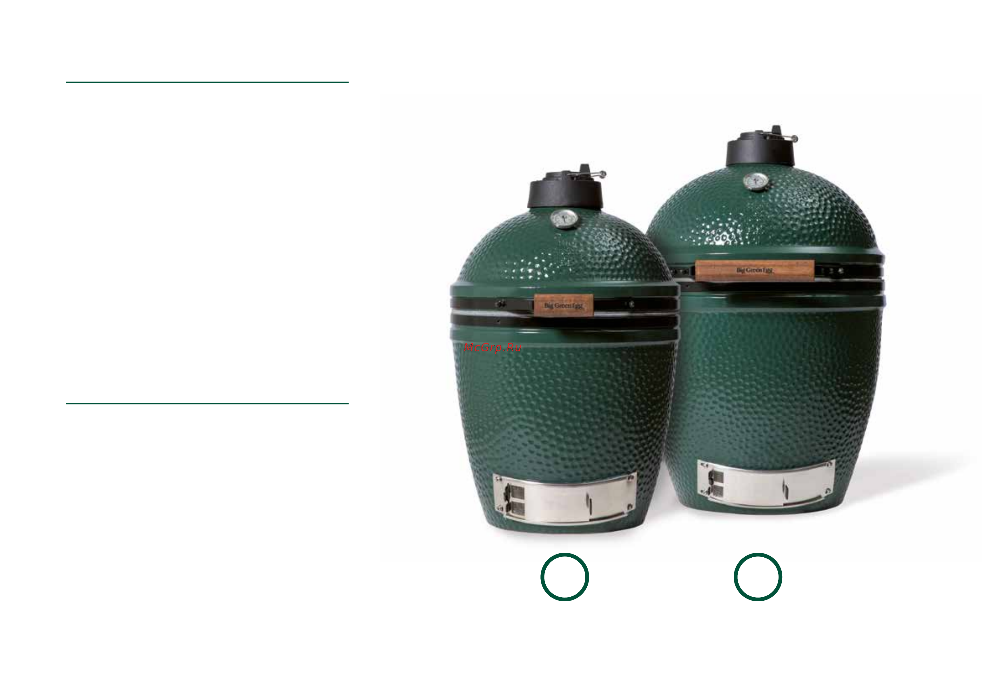 BIG EGG Medium EGG 117625 [8/36] Medium
