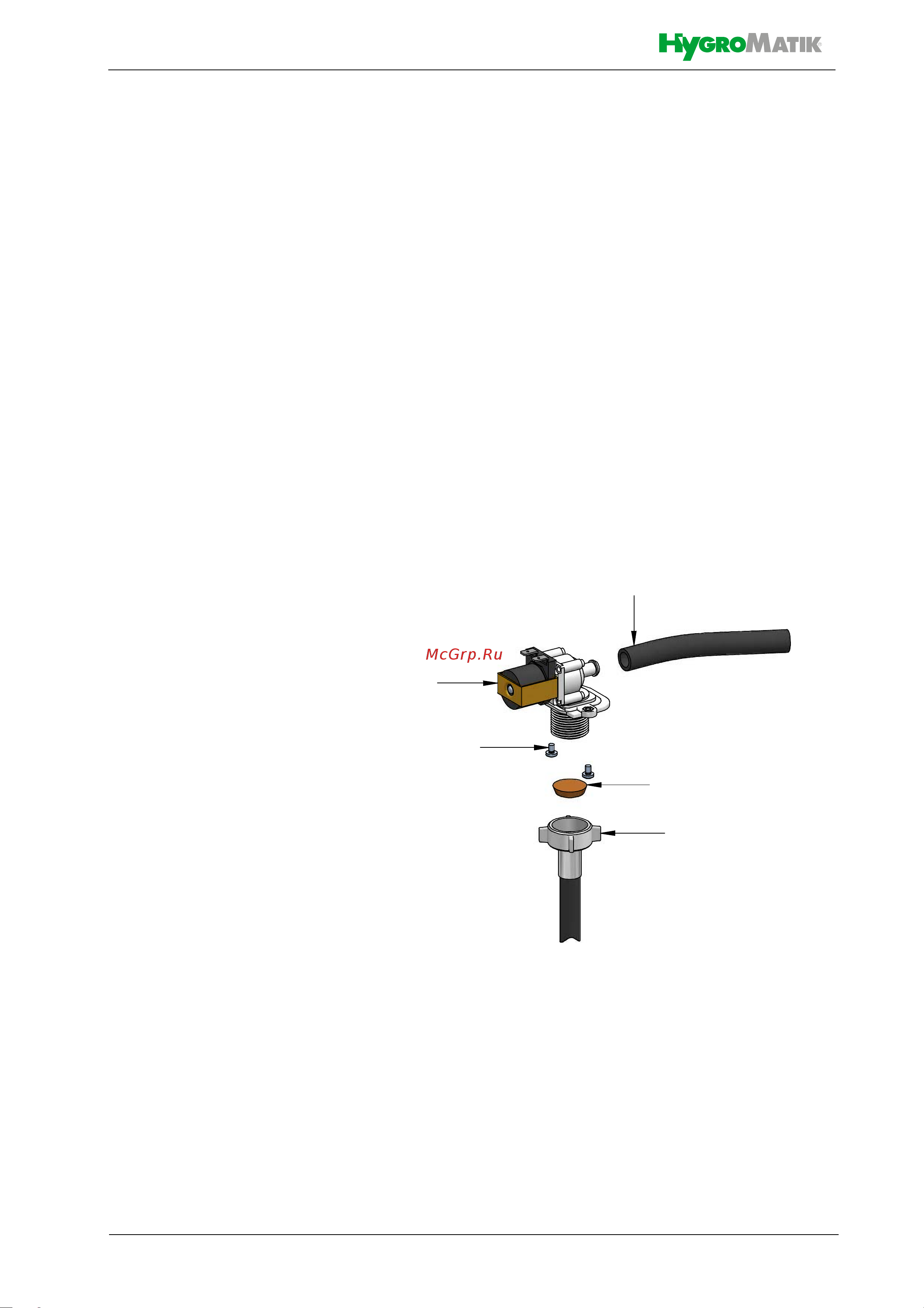 Hygromatik HeaterSlim HS06-BS [51/70] Очистка впускного электромагнитного клапана и фильтра тонкой очистки