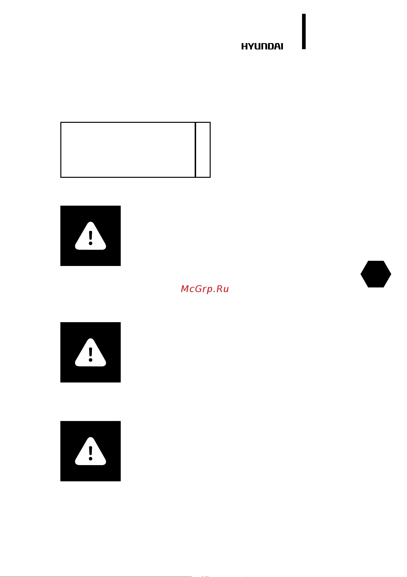 Hyundai Home Assistant SX DEH1 [31/44] Внимание