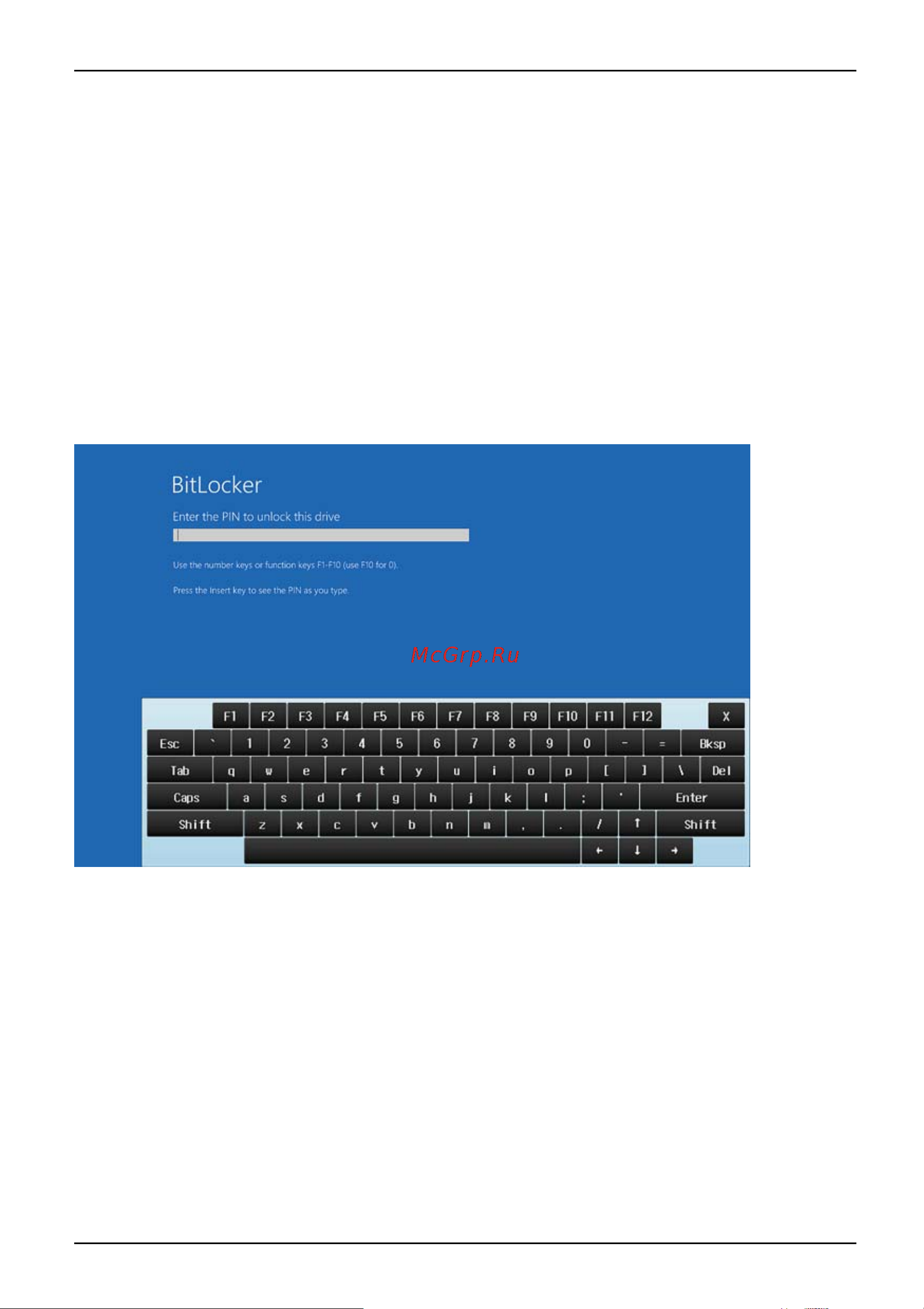 Fujitsu LIFEBOOK U729X LKN:U729XM0001RU [79/118] Активация ввода пароля через экранную клавиатуру экранная клавиатура для пароля bitlocker