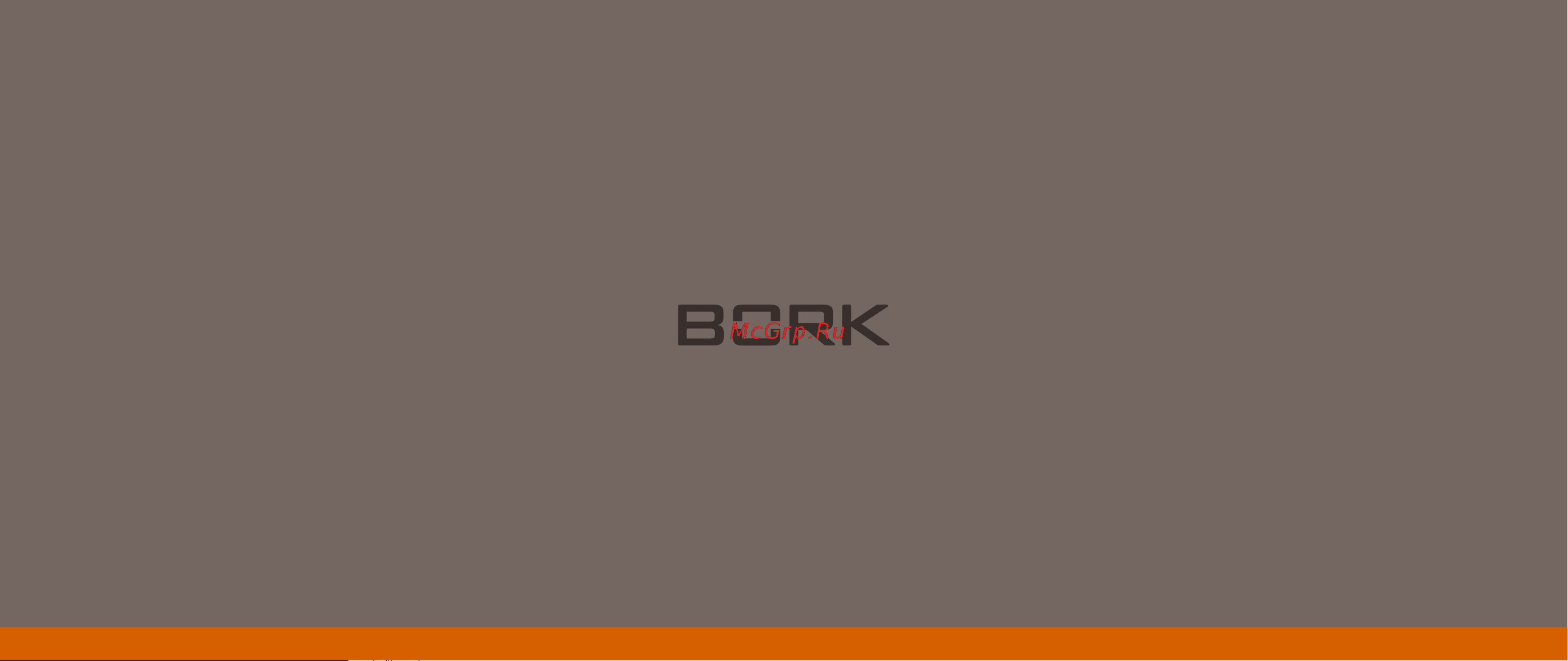 Bork Z730 Руководство по эксплуатации онлайн