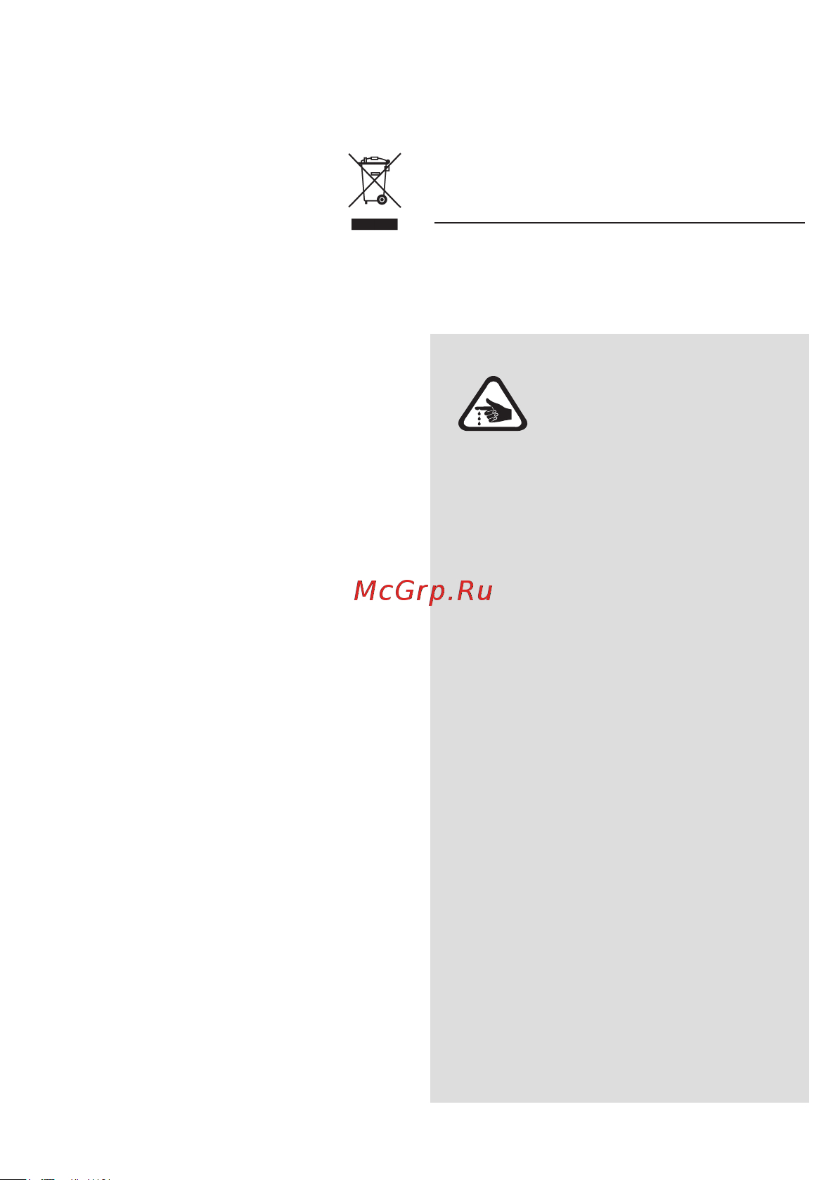 Braun MQ 100 Dip [8/68] English