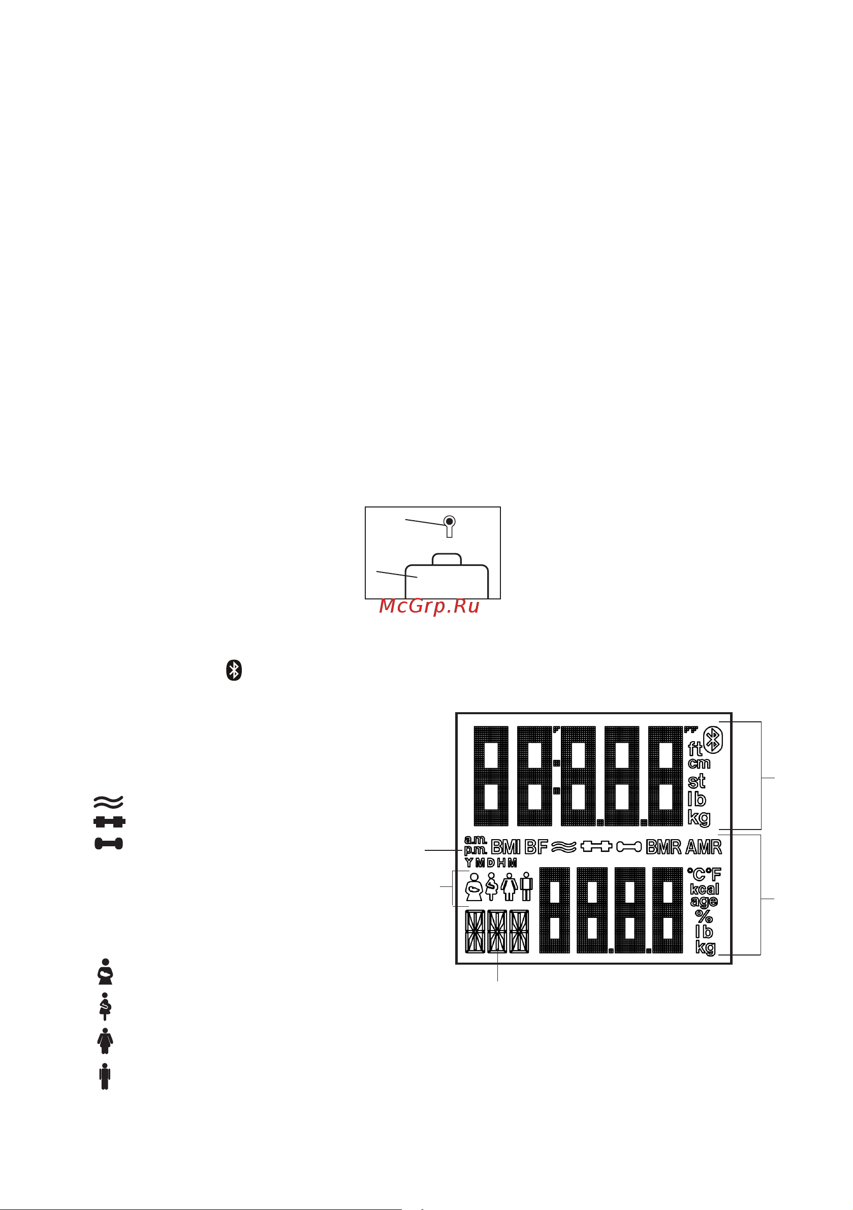 Beurer BF950 [31/112] Description de l appareil